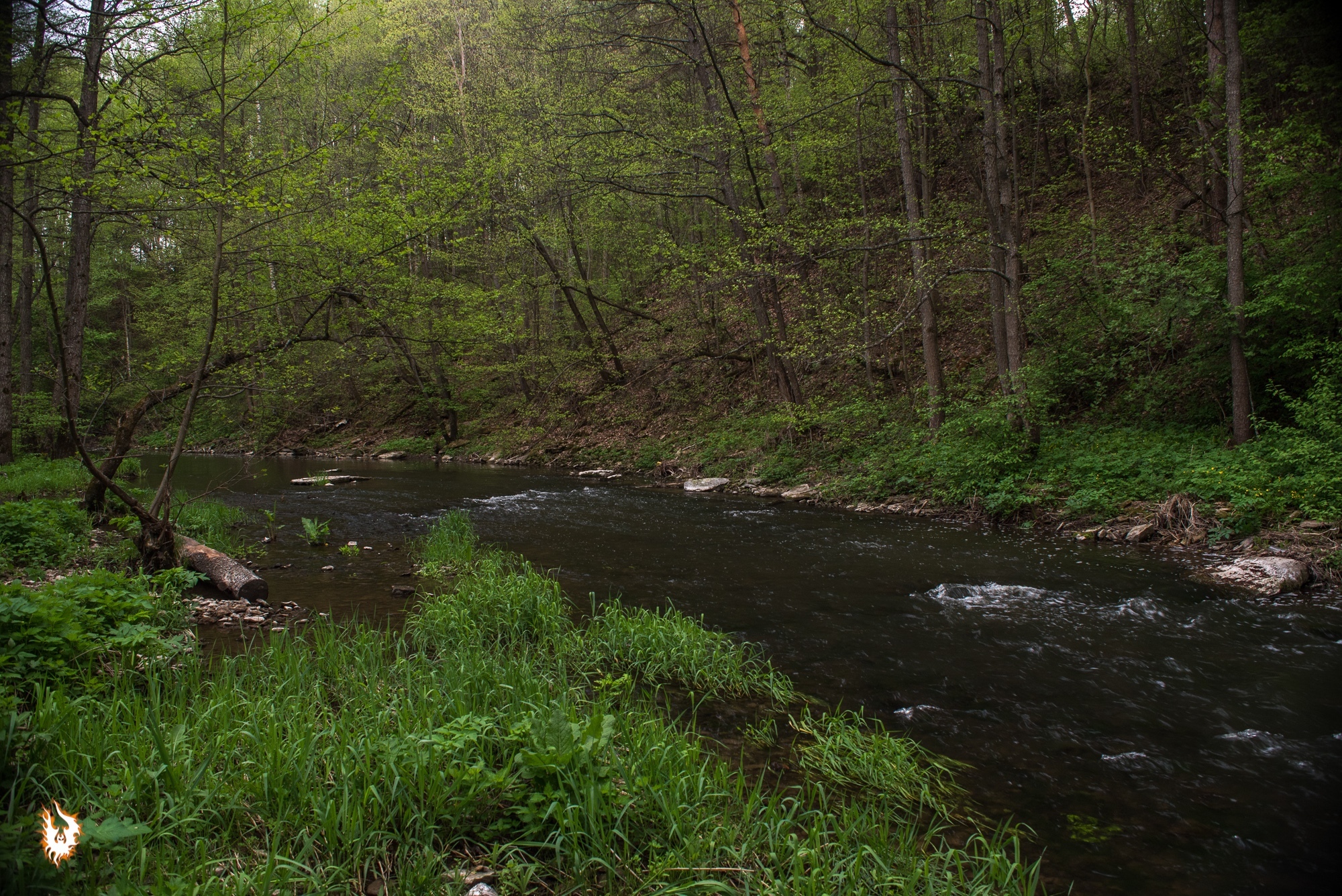 A couple of days in May - Cow Summer Residence, Vashanovskie Quarries and Rattles Waterfall - My, Kaluga region, Tula region, Waterfall, Stork, May, Caves, Quarry, Longpost