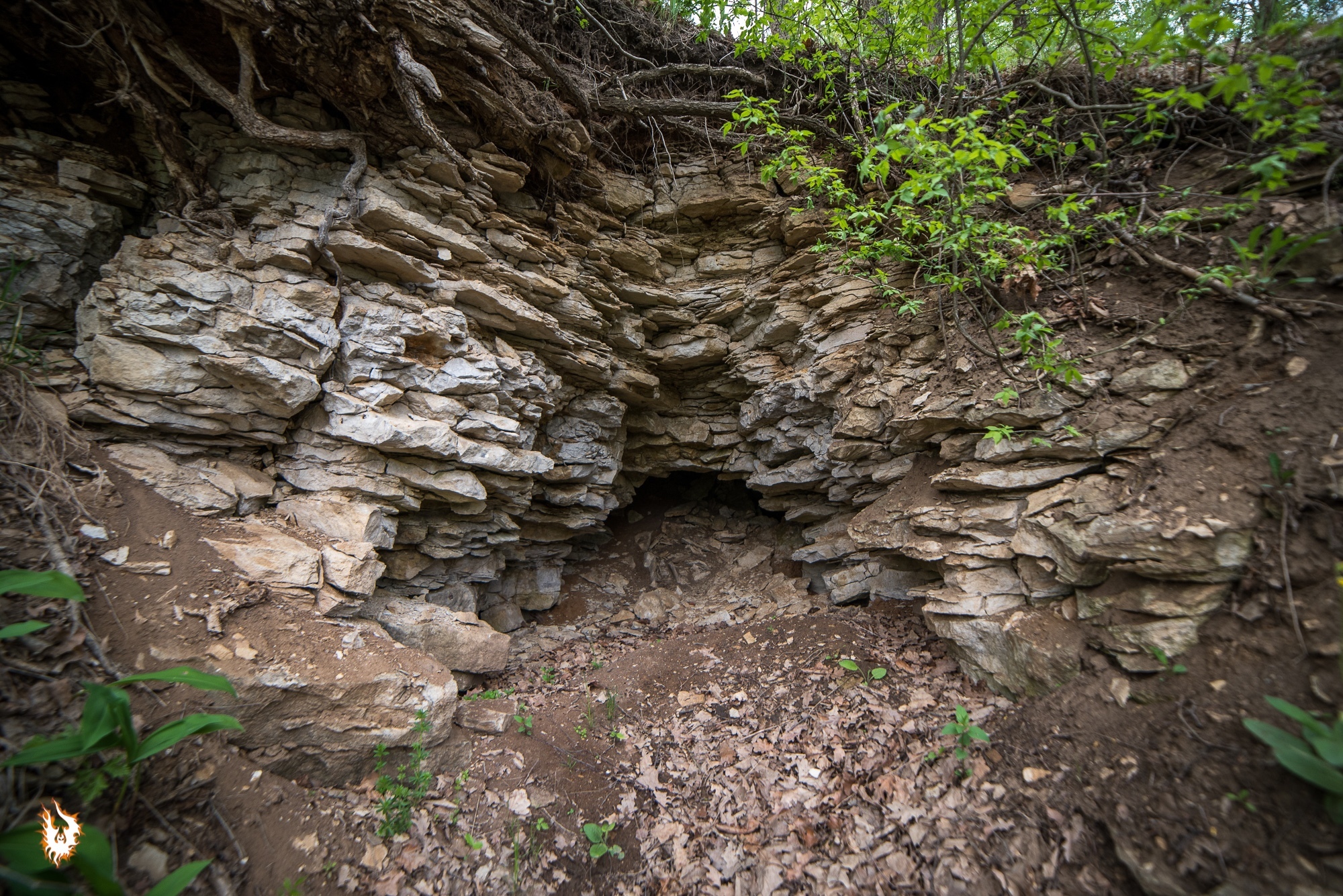 A couple of days in May - Cow Summer Residence, Vashanovskie Quarries and Rattles Waterfall - My, Kaluga region, Tula region, Waterfall, Stork, May, Caves, Quarry, Longpost