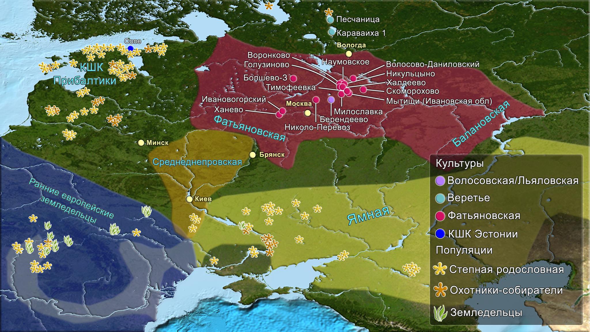 Genetic history of the population of western Russia during the transition from the Stone Age to the Bronze Age - My, The science, История России, Story, Paleogenetics, Longpost, Stone Age, Bronze Age, Population genetics, Video, GIF