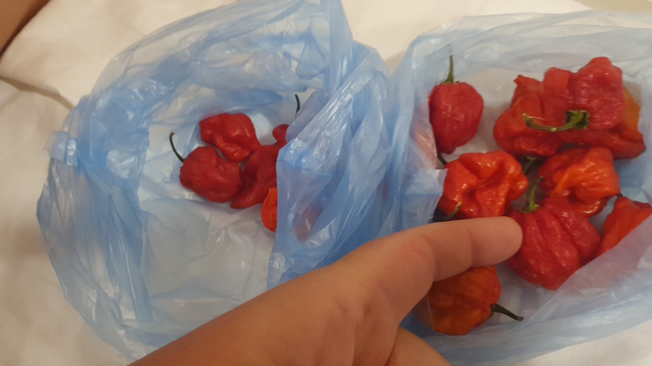 Help identify pepper - Hot peppers, Identification, Help me find, Longpost