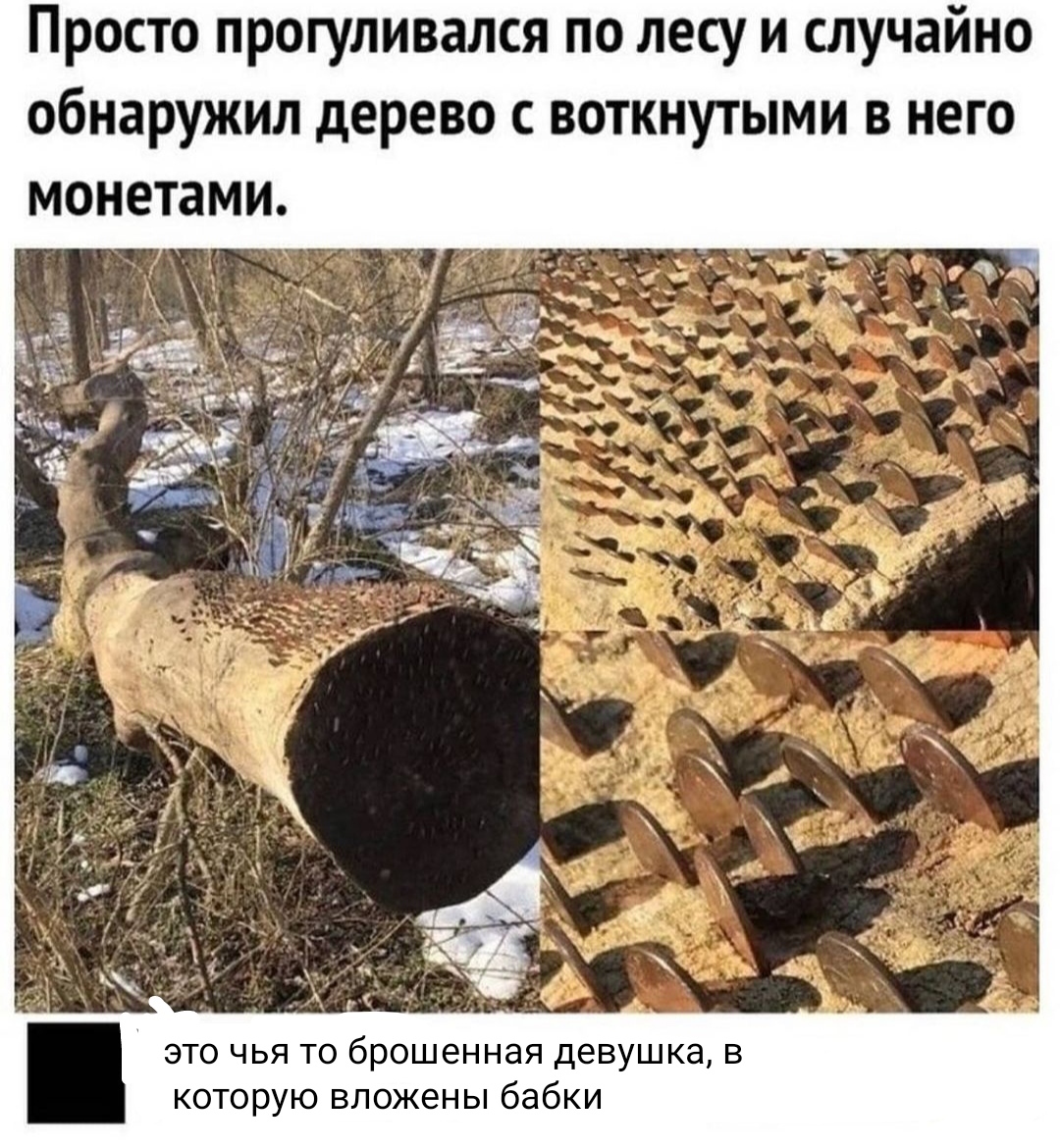 Со смыслом - Моё, Денежное дерево, Со смыслом, Комментарии