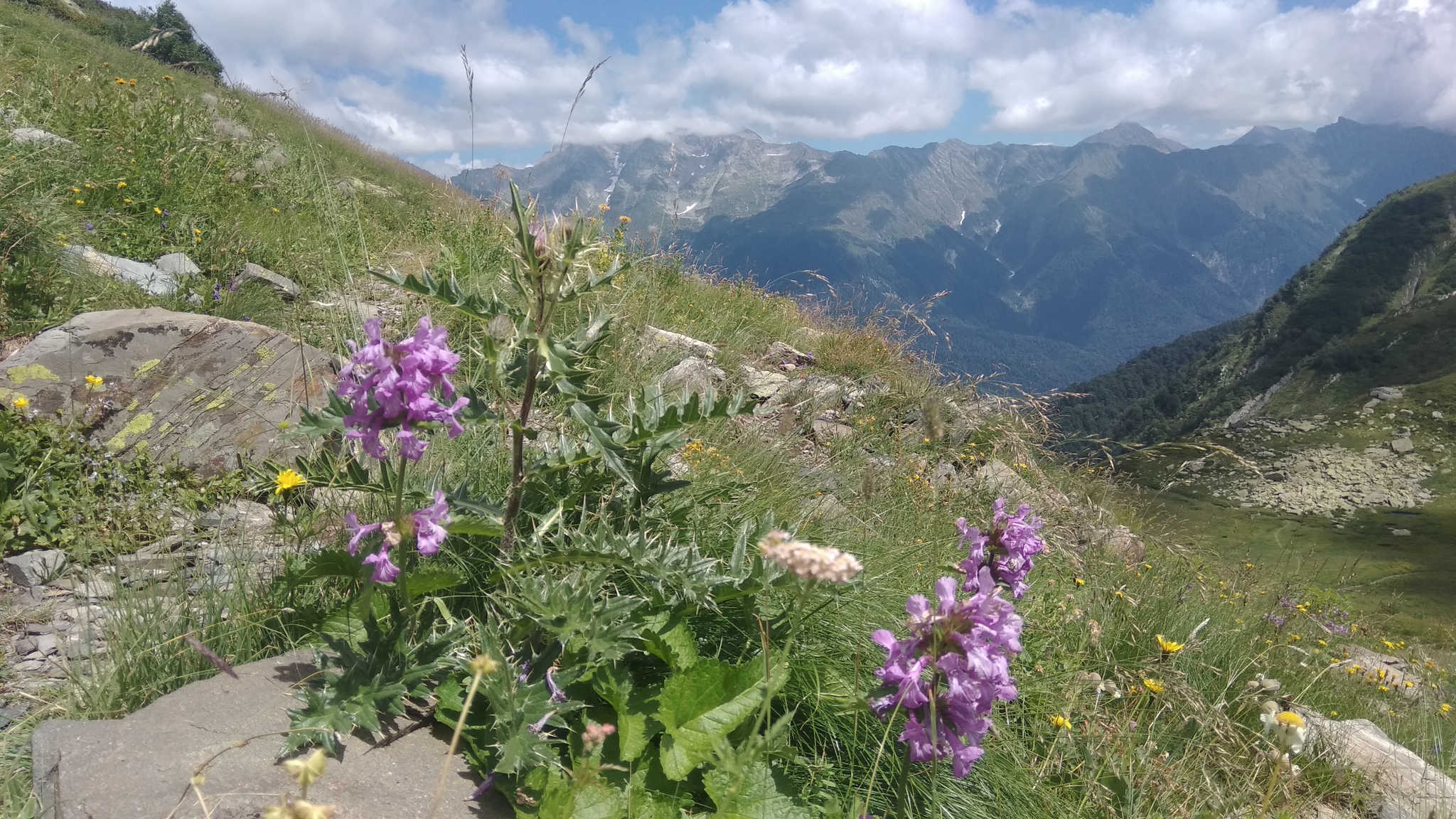 Mom's tourists on vacation - My, The mountains, Achishkho, Waterfall, The Bears, Longpost, Caucasian Reserve, Video