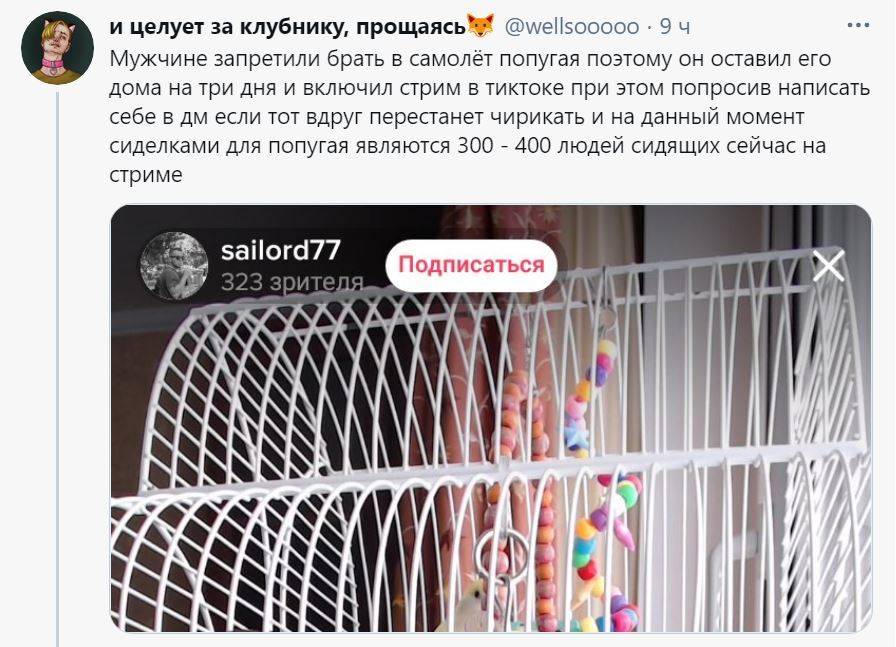 Когда нашёл бесплатных нянек - Картинка с текстом, Юмор, Twitter