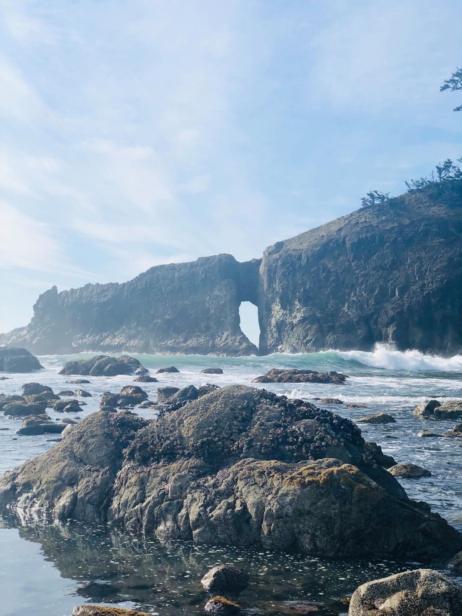 La Push - My, Seattle, USA, Ocean, Beach, Sunset, Longpost, dust, The photo