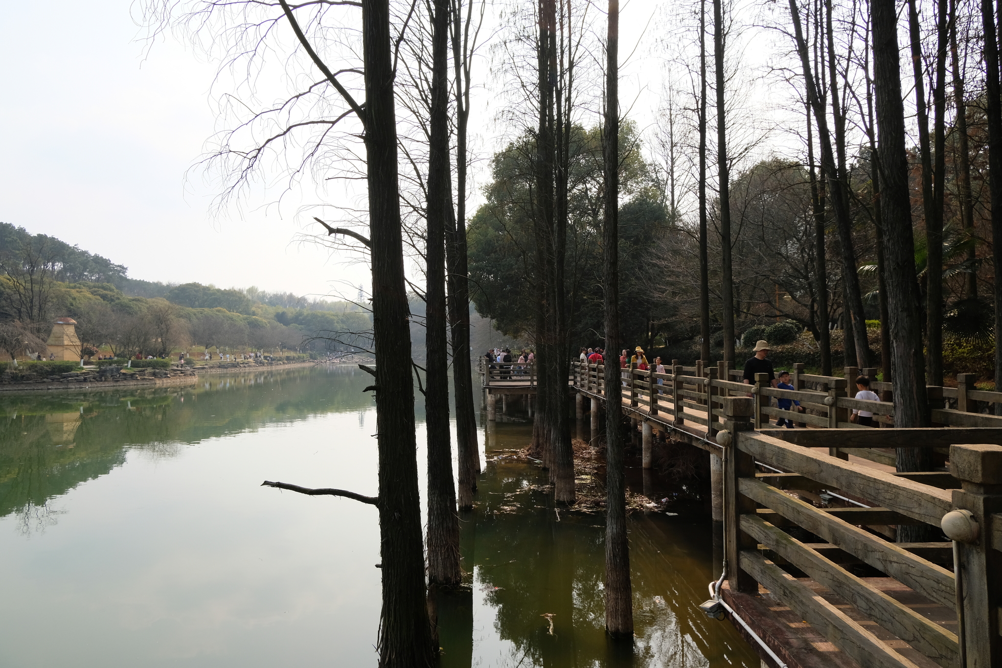 Sights of Changsha. Part 1: Botanical Garden - My, China, Travels, sights, Spring, The photo, Longpost, Botanical Garden