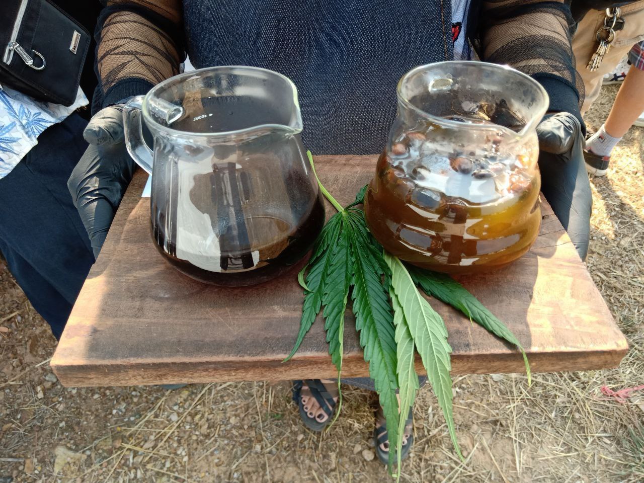 Marijuana Festival in Chiang Mai - Thailand, Marijuana, The festival, Cooking, The photo, Chiang mai, Longpost