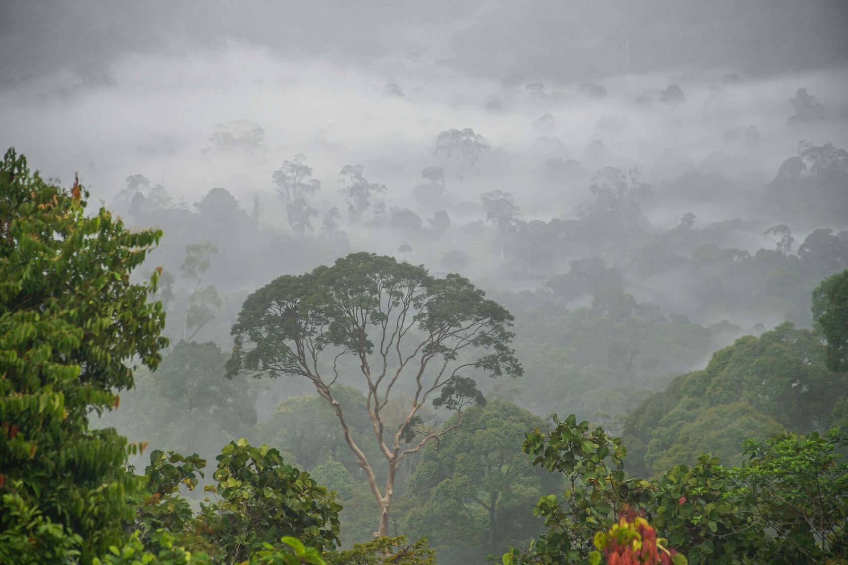 Borneo is in my heart. Malaysia - My, Borneo, Malaysia, Travels, Route, Video, Longpost