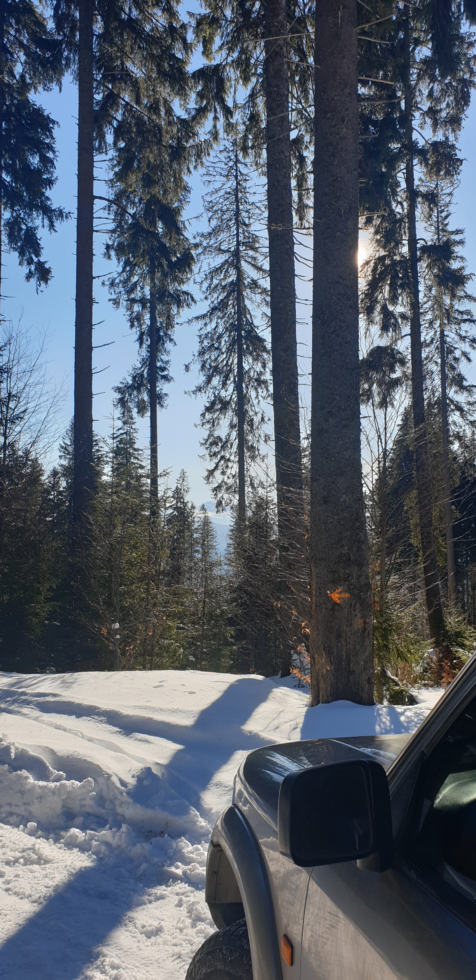 Journey to the fairy tale of the Carpathians - Carpathians, Longpost, The photo, The mountains, Winter