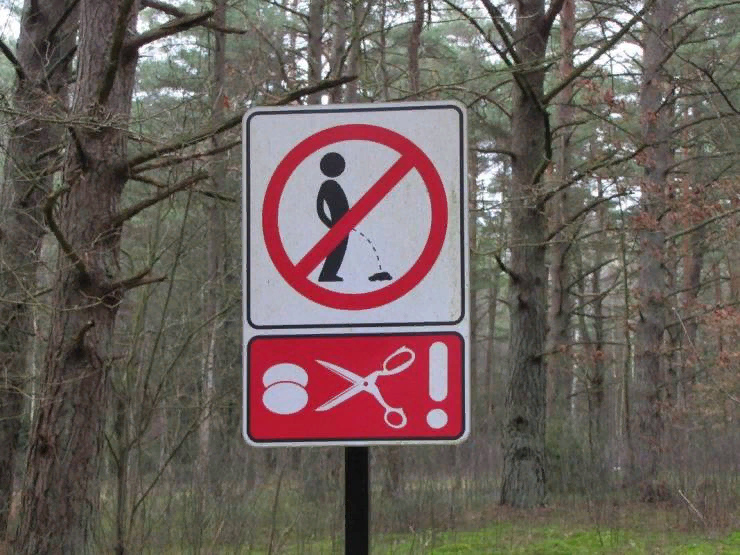 Don't piss in the forest, they'll cut off the sausage... - Humor, Signs, Forest