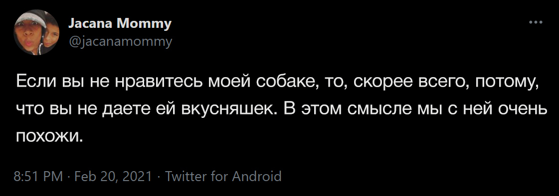 Прозрачно - Собака, Вкусняшки, Сходство, Twitter, Скриншот