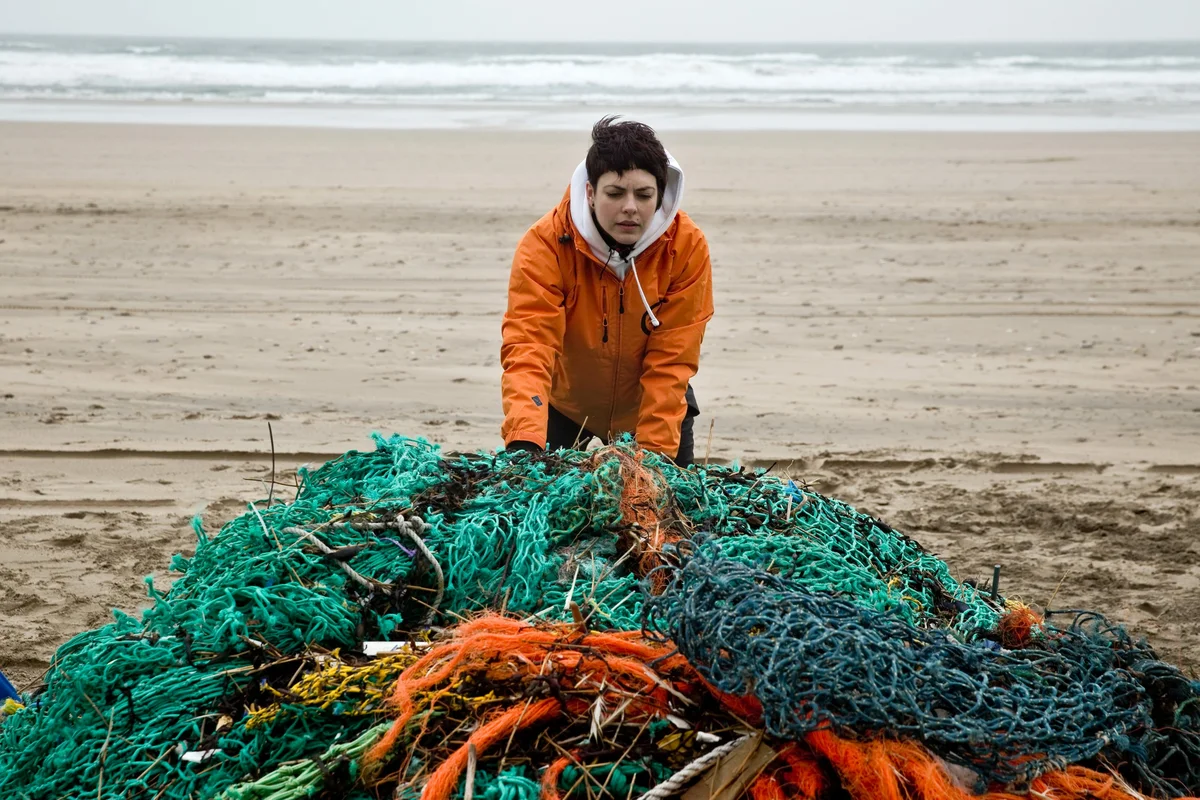 Ghost fishing - Fishing, Ocean, Sea, Networks, Yandex Zen, Negative, Animals, Longpost