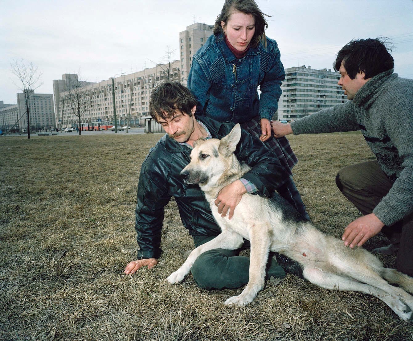 Saint Petersburg - The photo, Russia, Saint Petersburg, Longpost