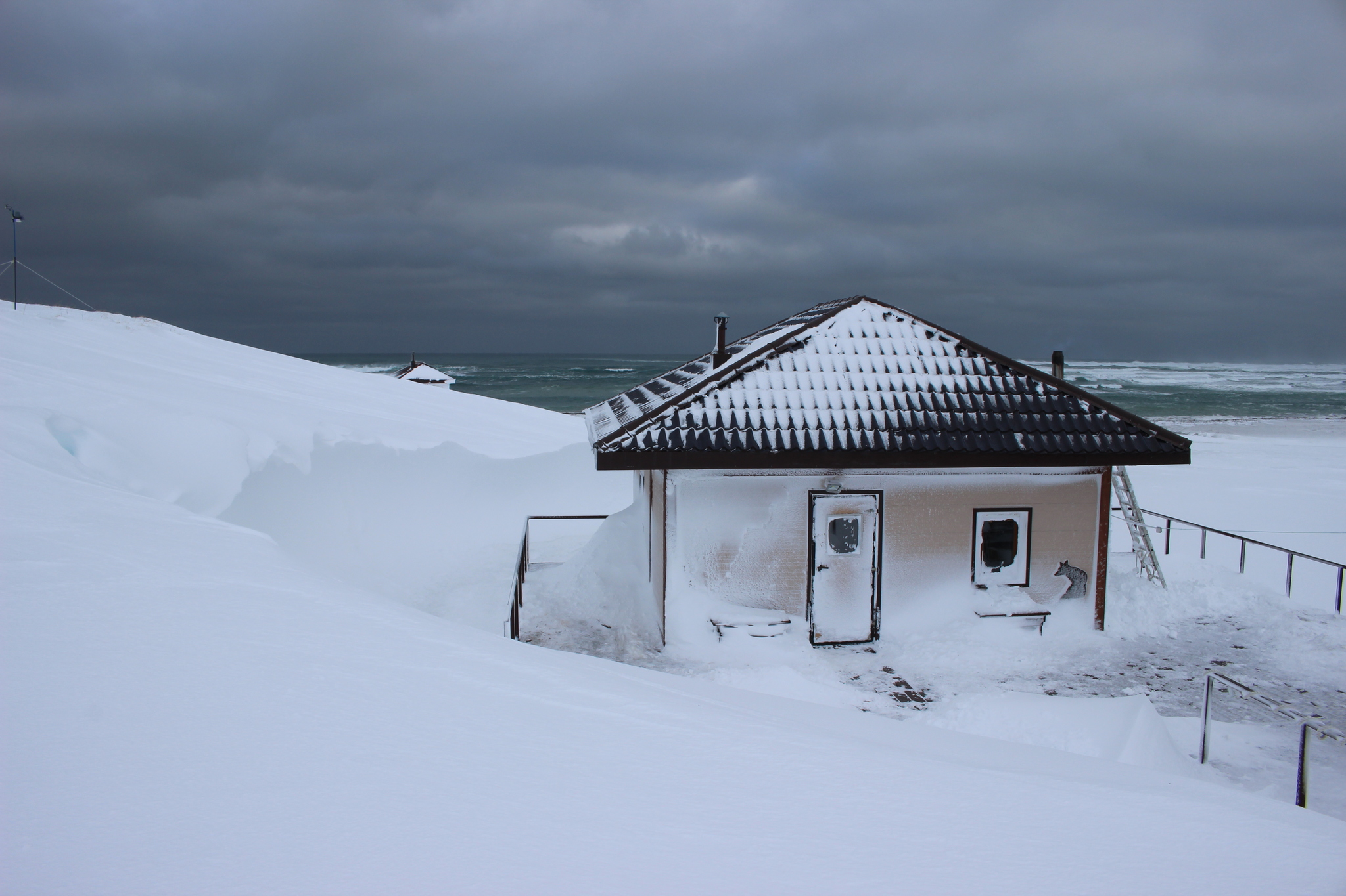 Commanders - the land of winds and fogs? - My, Commander Islands, Travels, Cordon, Bering Sea, Tourism, Inspector, Starry sky, Landscape, Longpost, wildlife, The nature of Russia, Reserves and sanctuaries