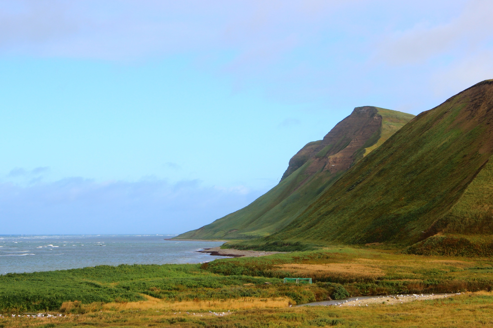 Commanders - the land of winds and fogs? - My, Commander Islands, Travels, Cordon, Bering Sea, Tourism, Inspector, Starry sky, Landscape, Longpost, wildlife, The nature of Russia, Reserves and sanctuaries