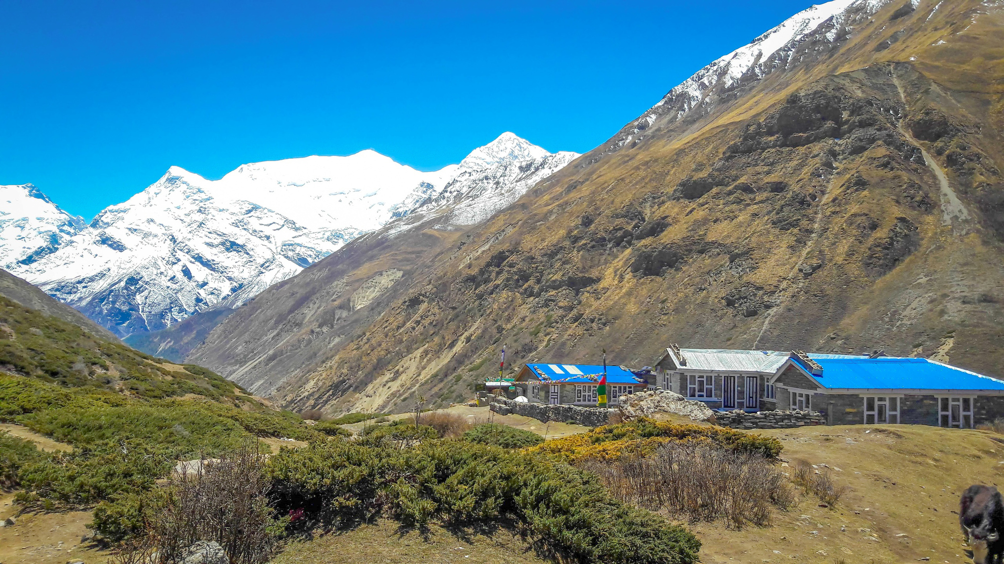 Nepal. Trek around Annapurna. Part 6. Thorong La Pass. 5416m - My, Nepal, Travels, Hike, Mountain tourism, Mobile photography, Physical Education, Longpost