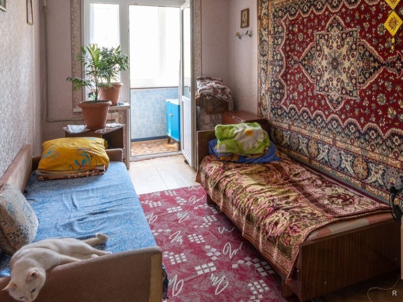 Nostalgia - Apartment, Situation, Carpet, cat, Cosiness, Longpost