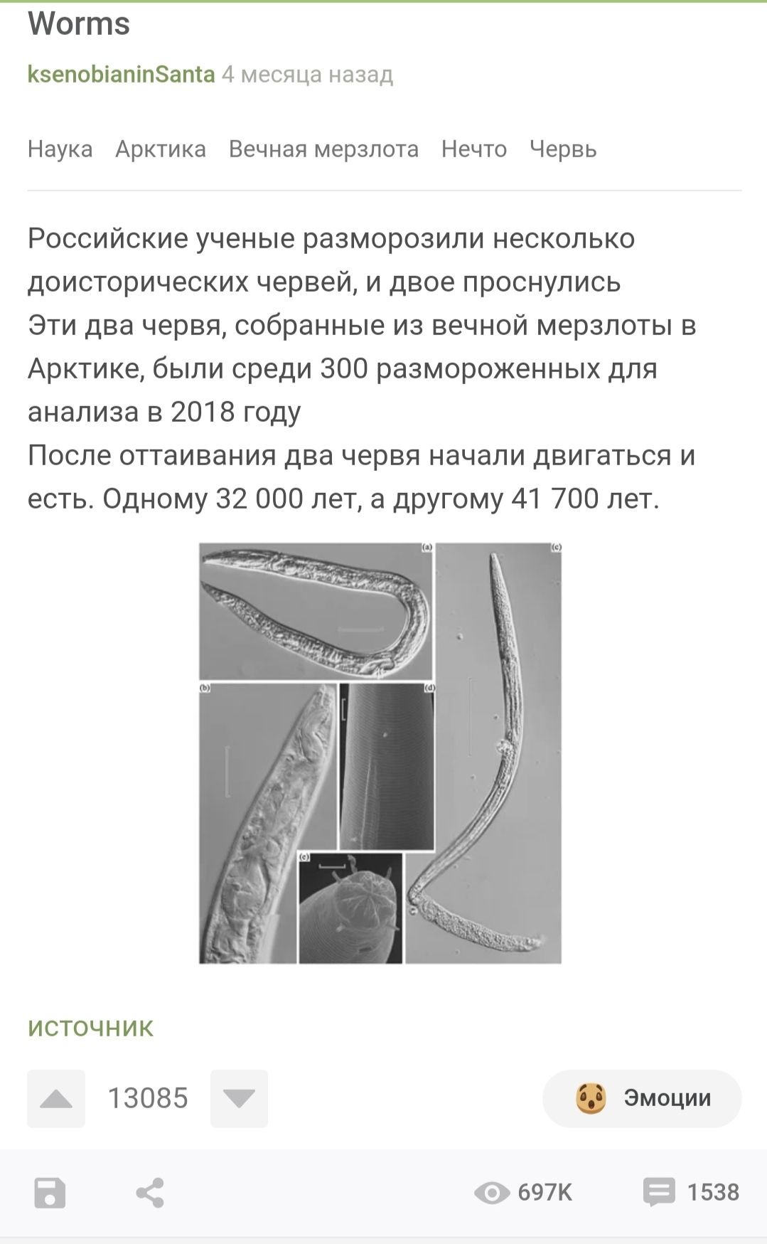 Совпадение? - Скриншот, Червь, Рен ТВ, Длиннопост