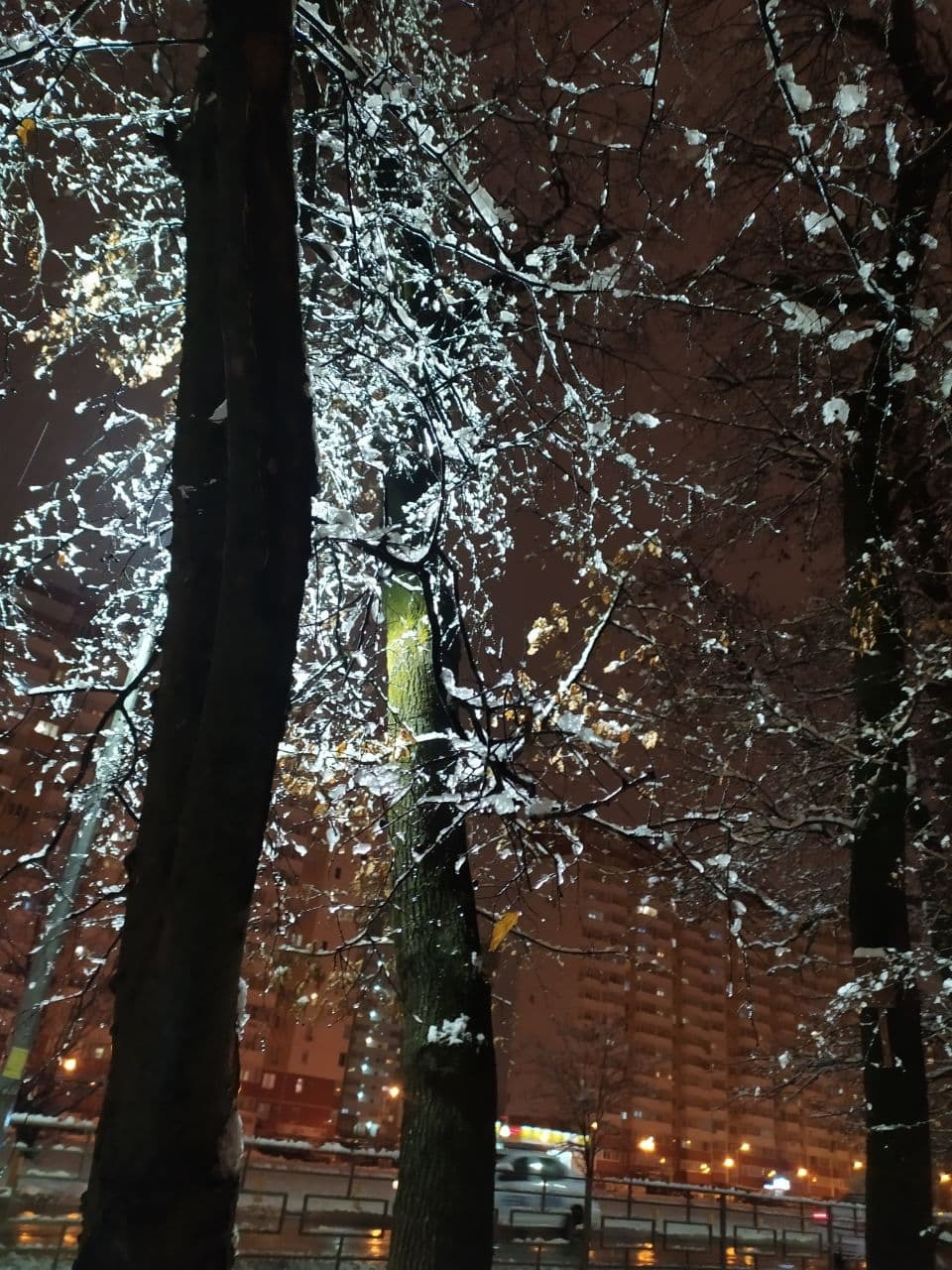 Winter in Krasnodar - My, Krasnodar, Winter, The photo, Longpost