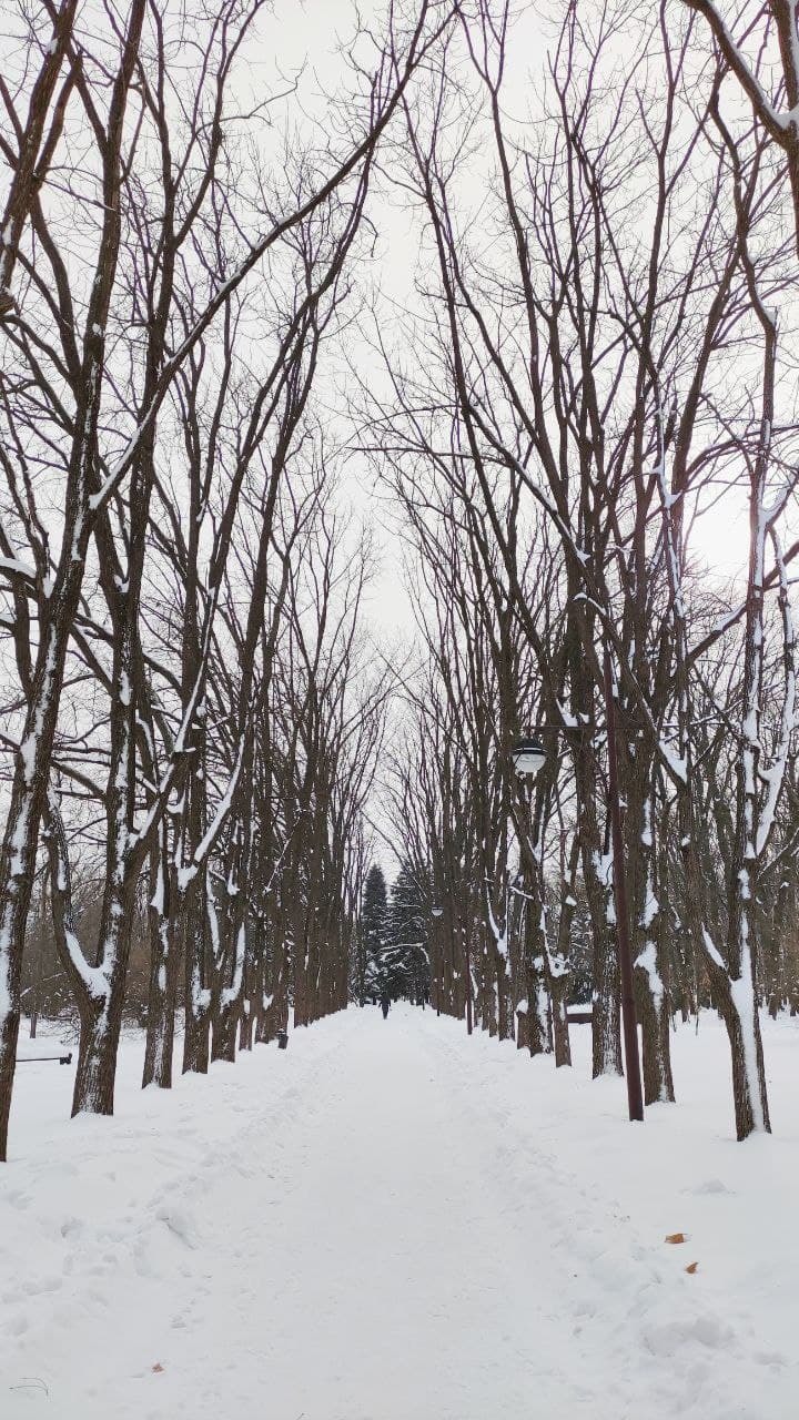 Winter in Krasnodar - My, Krasnodar, Winter, The photo, Longpost