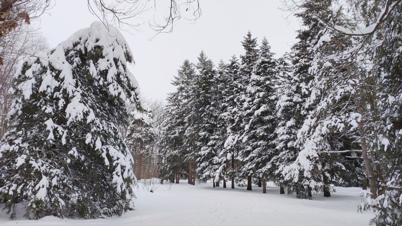 Winter in Krasnodar - My, Krasnodar, Winter, The photo, Longpost