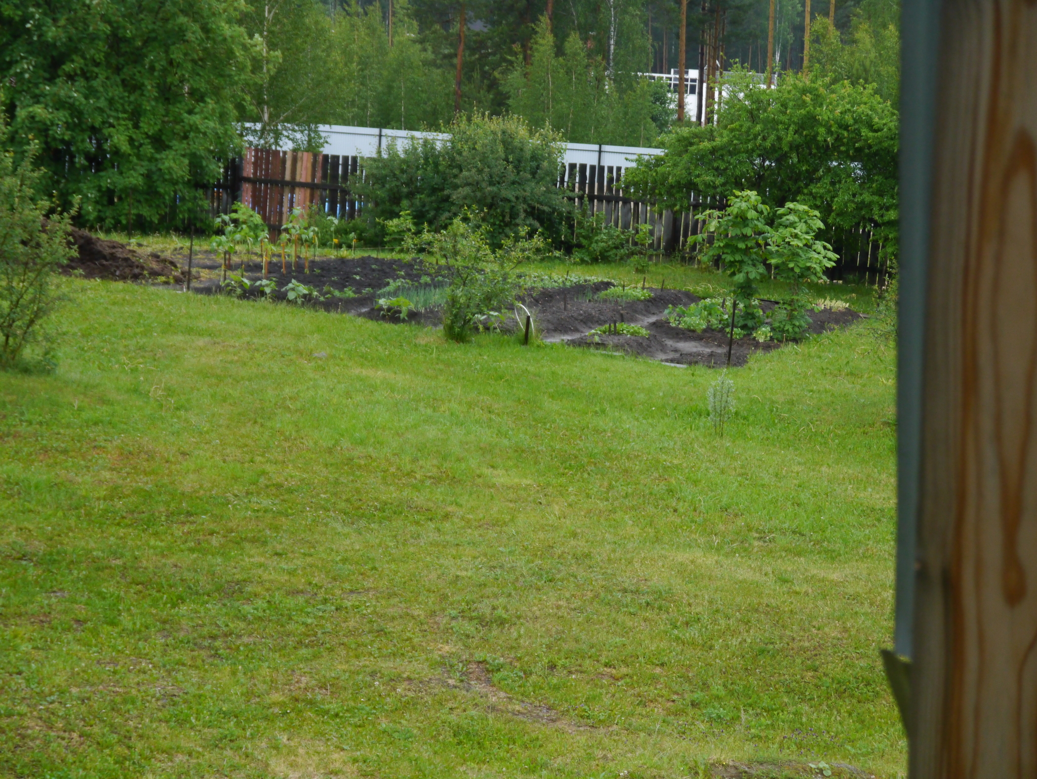 Non-standard gardener :-)) - My, Ural, Dacha, Garden, Longpost