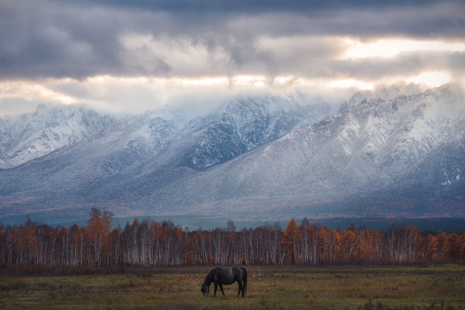 Evening in the Barguzin valley of Sahuli, Kurumkansky district, Republic of Buryatia - Buryatia, Transbaikalia, Siberia, Barguzinsky ridge, The nature of Russia, Travel across Russia, The mountains, Tourism, The photo, Autumn