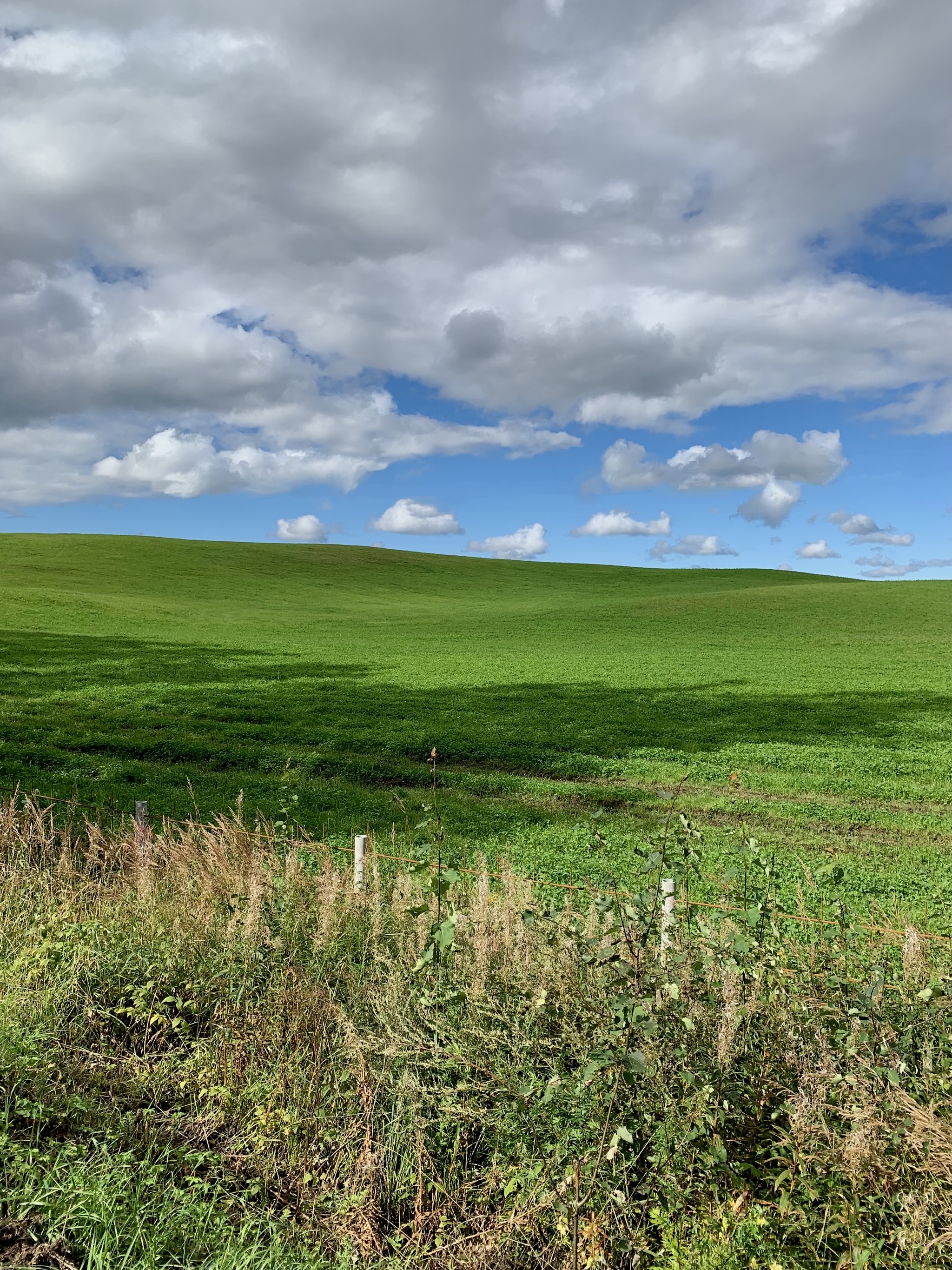 Безмятежность - Моё, Мобильная фотография, Пейзаж, Windows XP