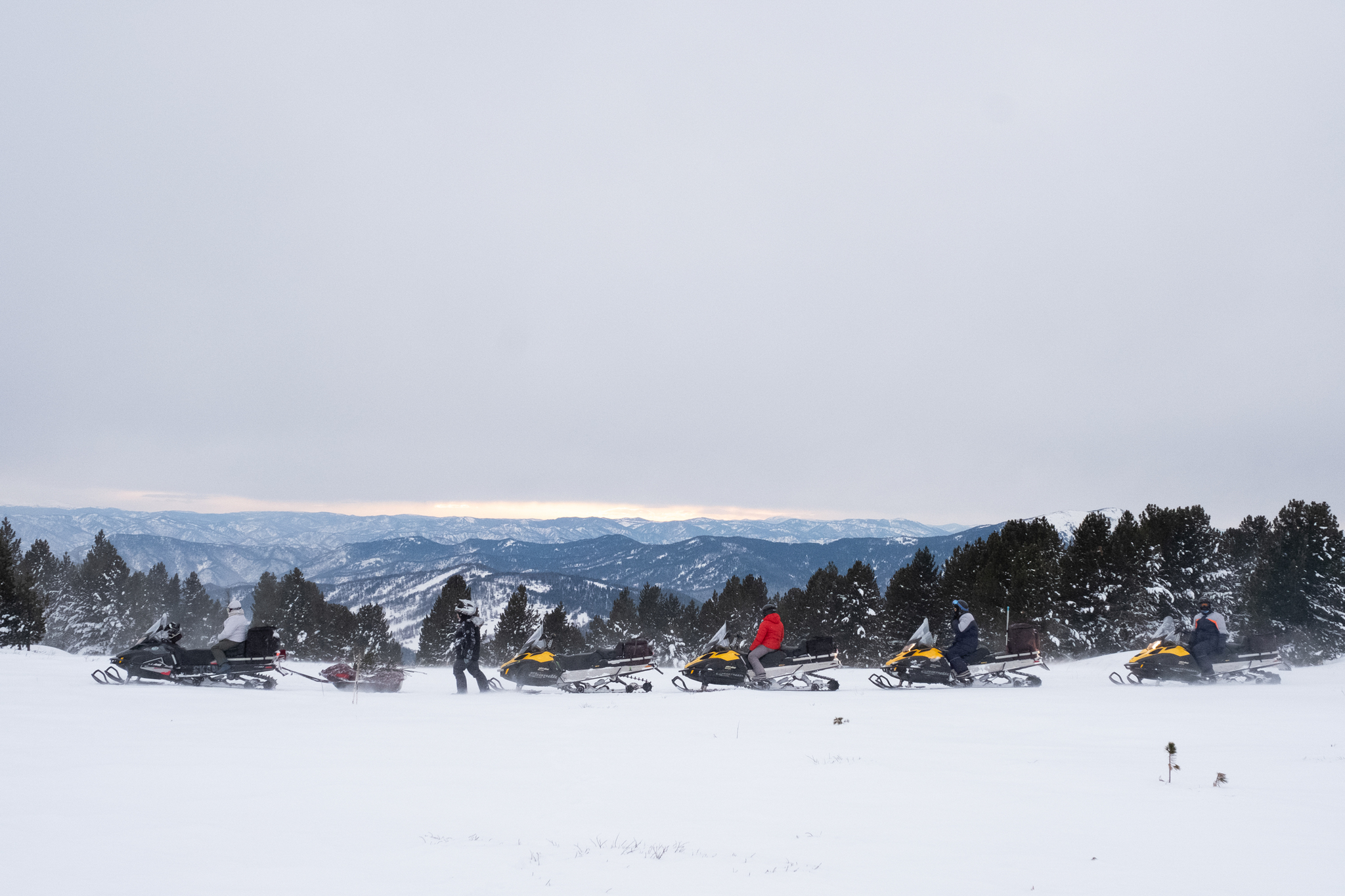 Altai in winter - My, Altai Republic, Mountain Altai, Travels, Longpost