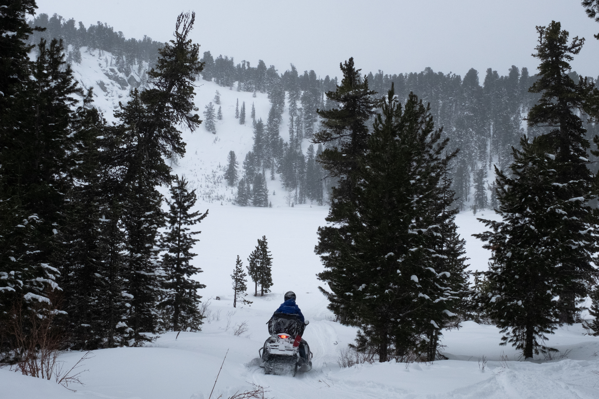 Altai in winter - My, Altai Republic, Mountain Altai, Travels, Longpost