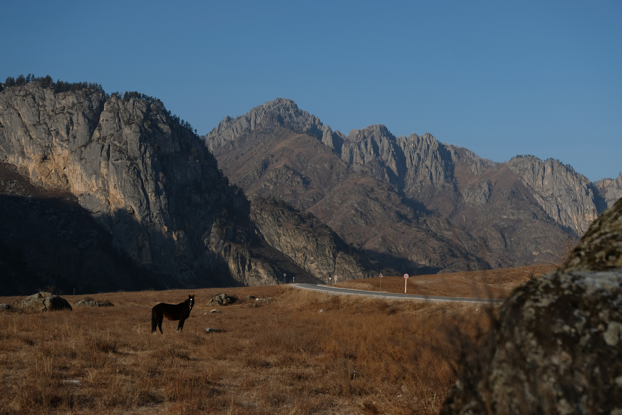 Altai in winter - My, Altai Republic, Mountain Altai, Travels, Longpost