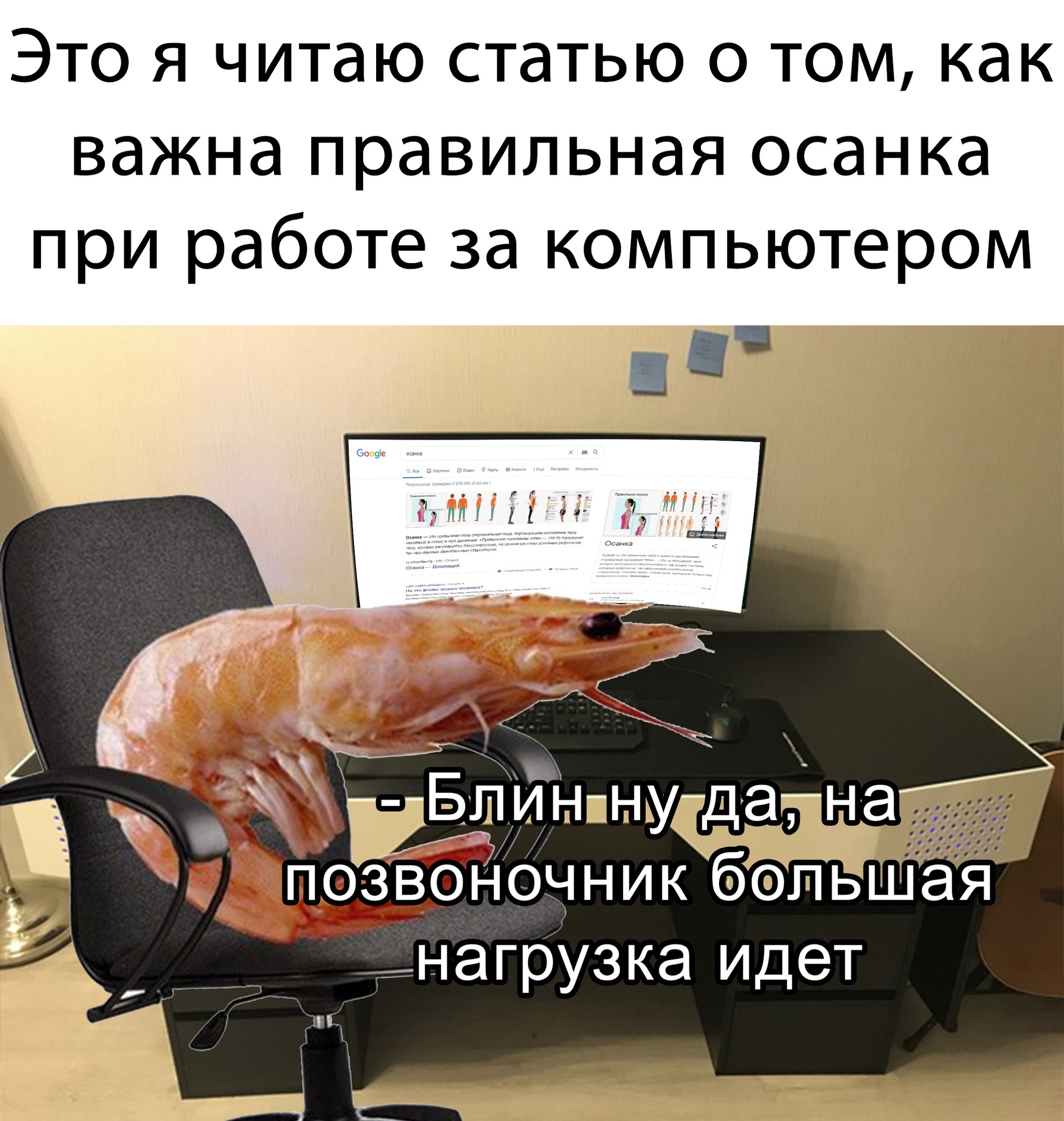 Posture - Humor, Memes, Posture, Shrimps, Picture with text