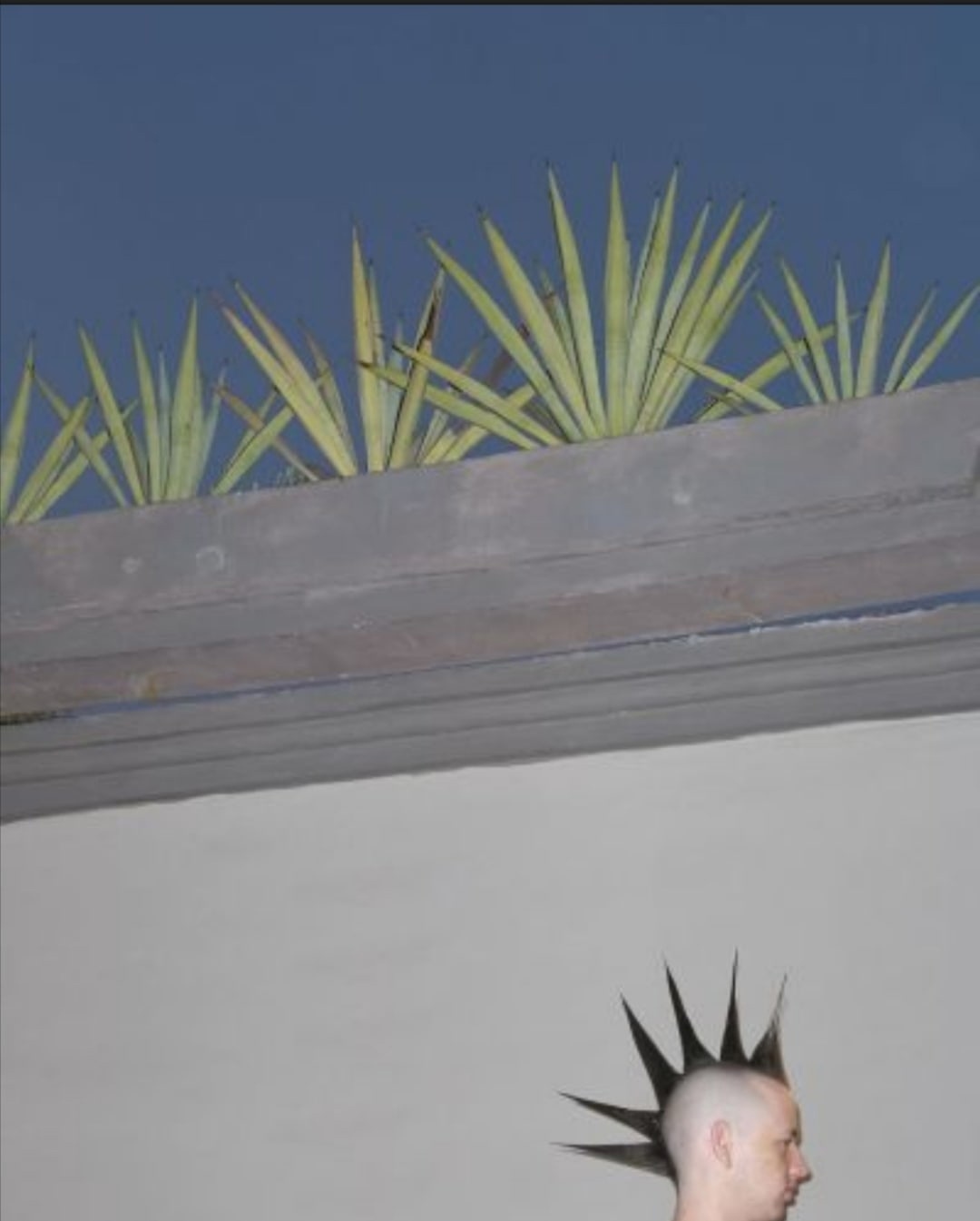 Harmonize - The photo, Punks, Palm trees, Iroquois