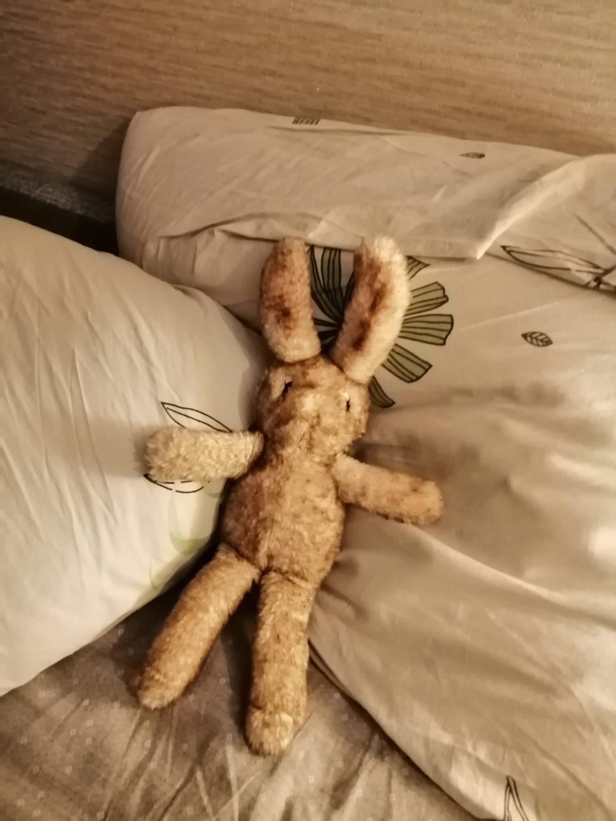 Toy story - My, Soft toy, Hare, Longpost