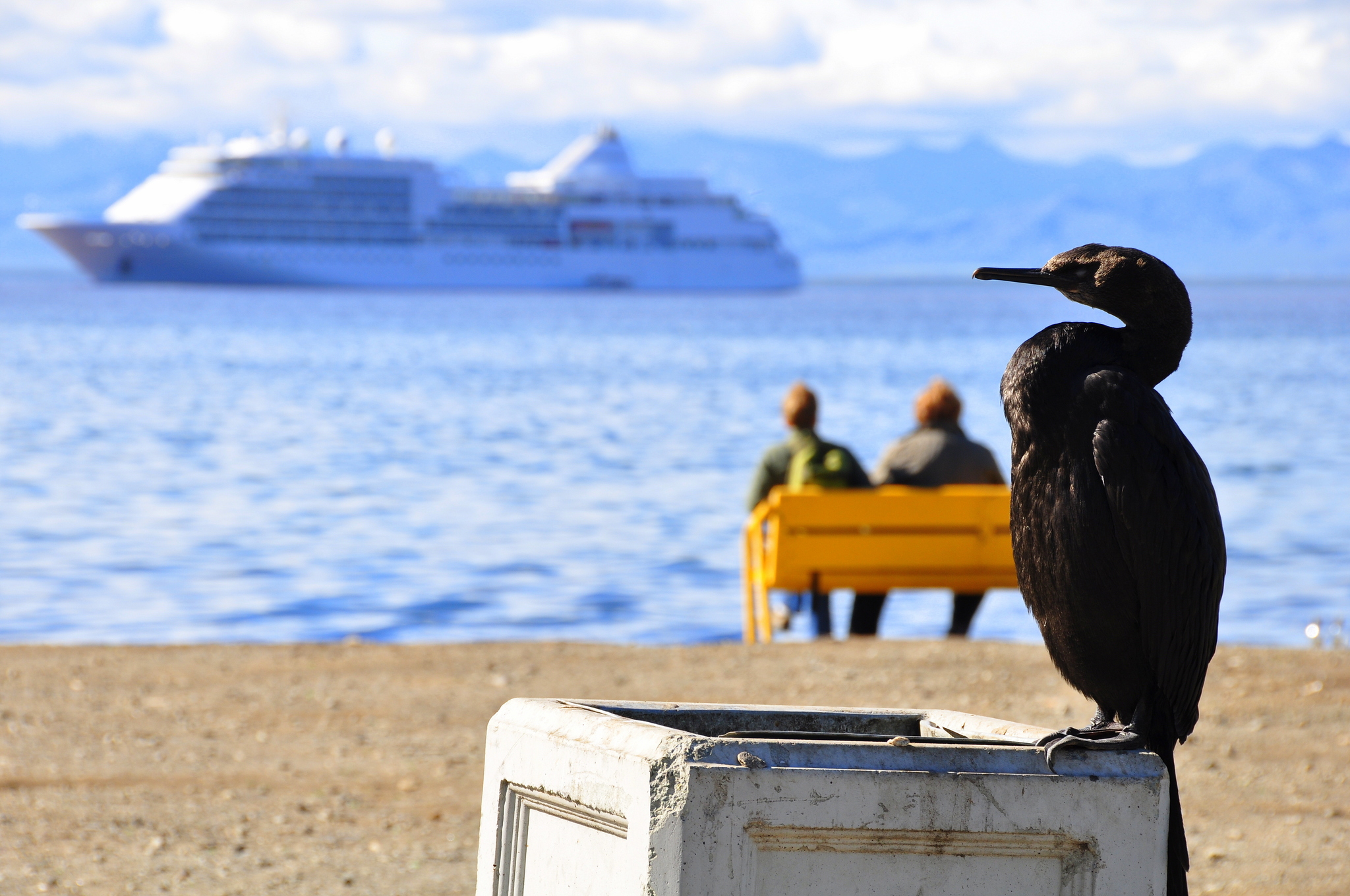 Everything is decay, beauty is eternal - My, Kamchatka, Cormorants, Liner, Birds