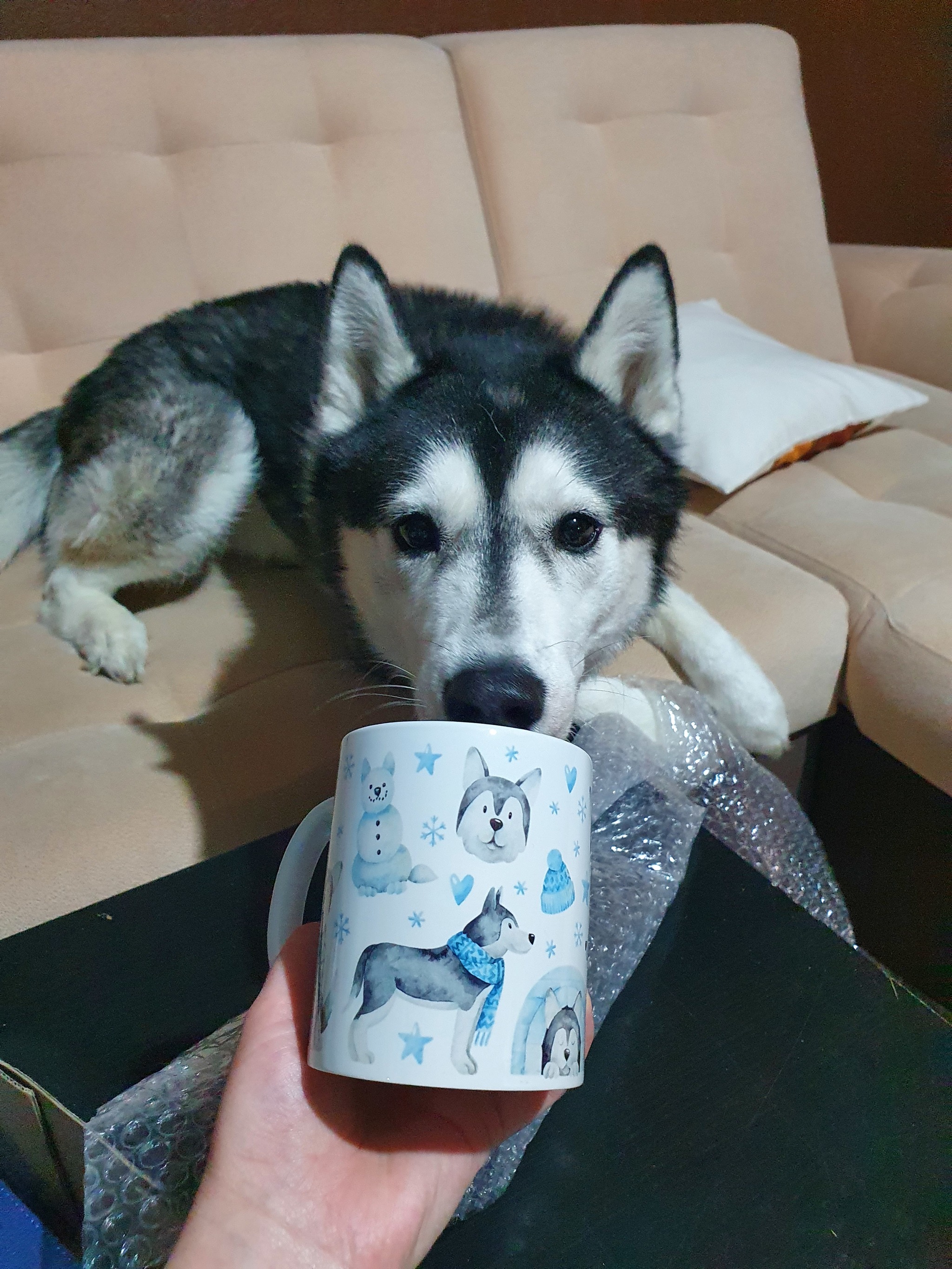 Color of mood after 2020 Nizhnekamsk-Chelyabinsk - My, Gift exchange report, Gift exchange, Dog, Positive, Mood color blue, Longpost