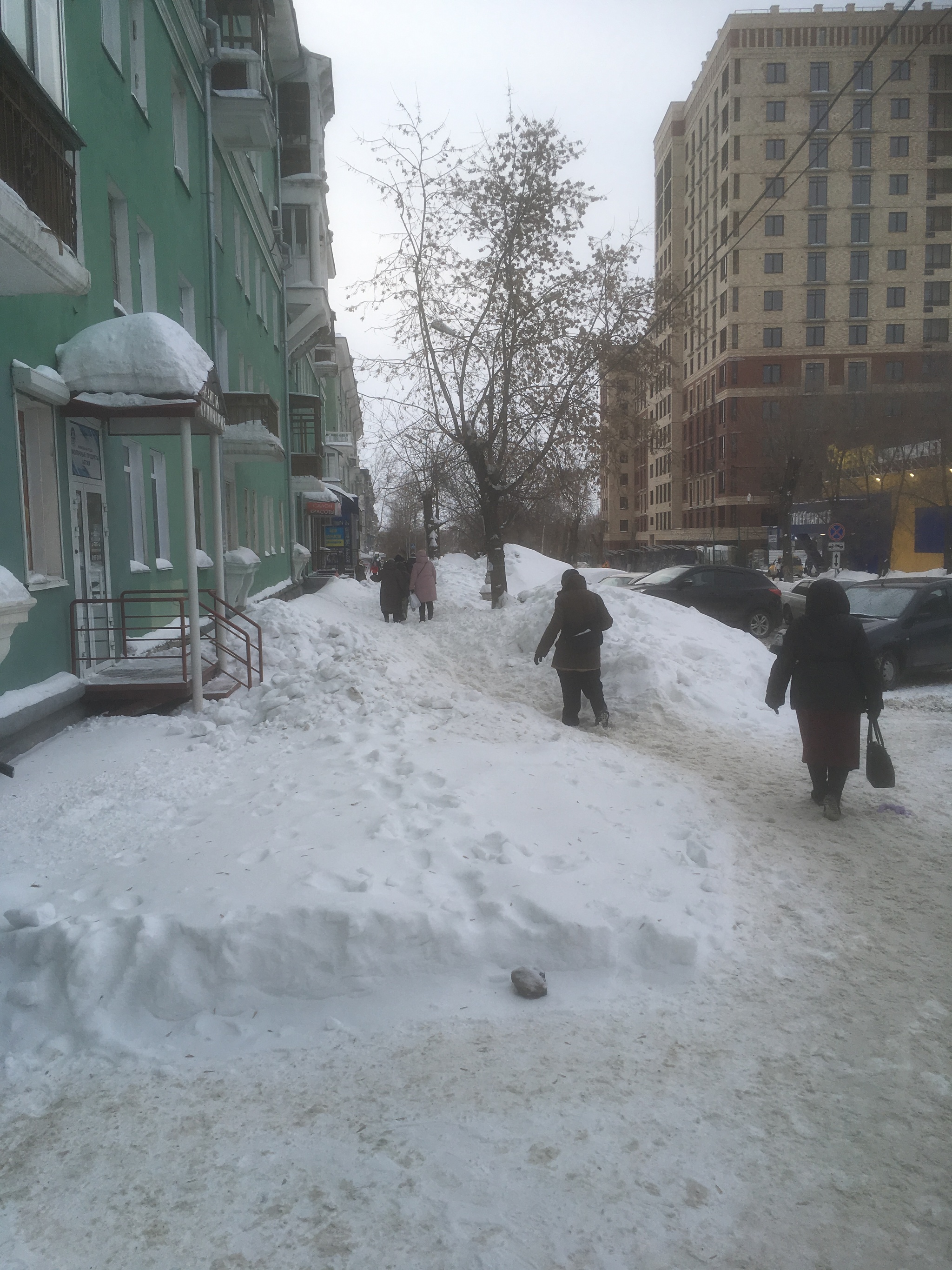 The enemy will not pass - My, Housing and communal services, Snow, Photo on sneaker, Sadness, Novosibirsk, Longpost