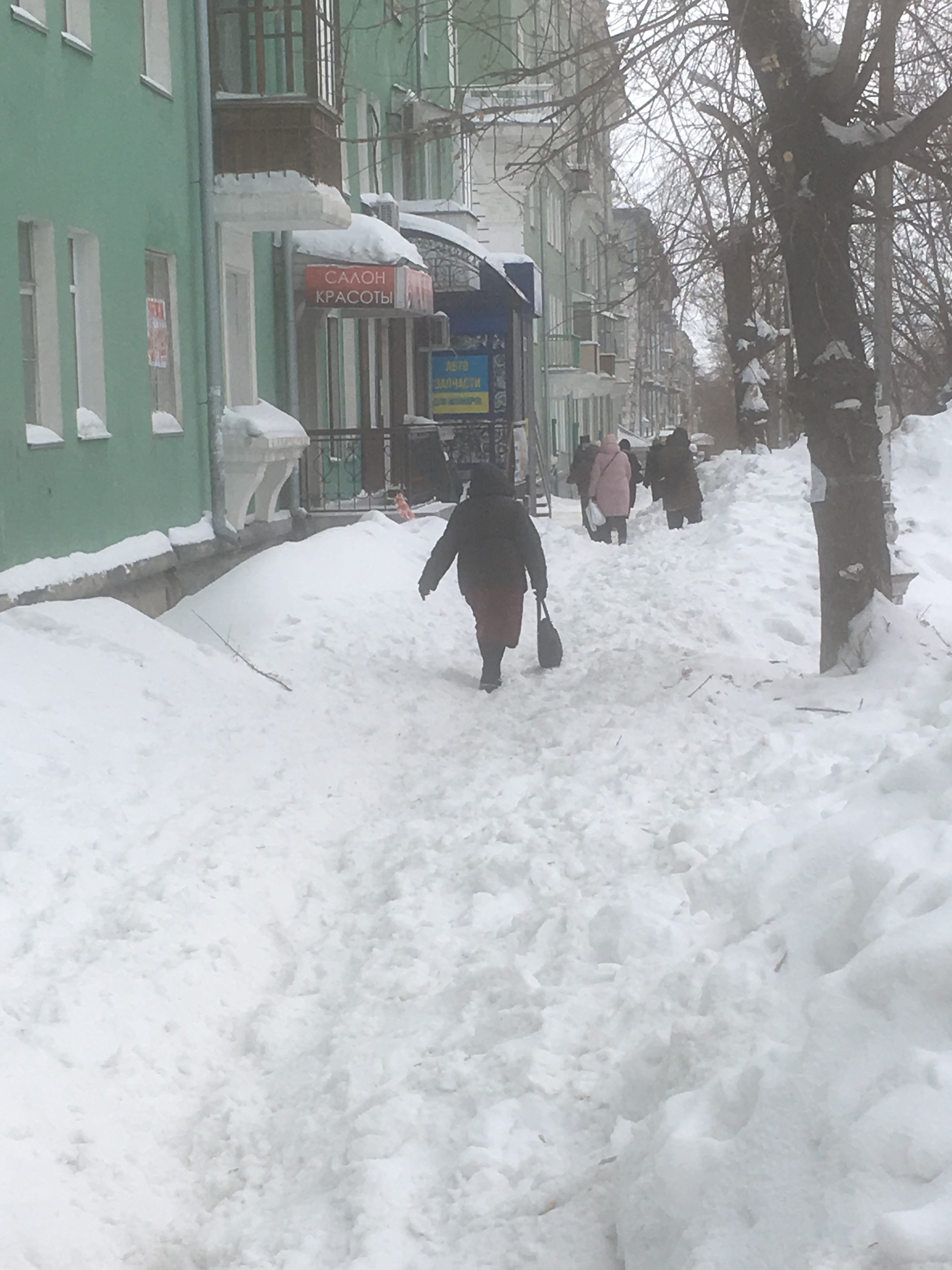 The enemy will not pass - My, Housing and communal services, Snow, Photo on sneaker, Sadness, Novosibirsk, Longpost