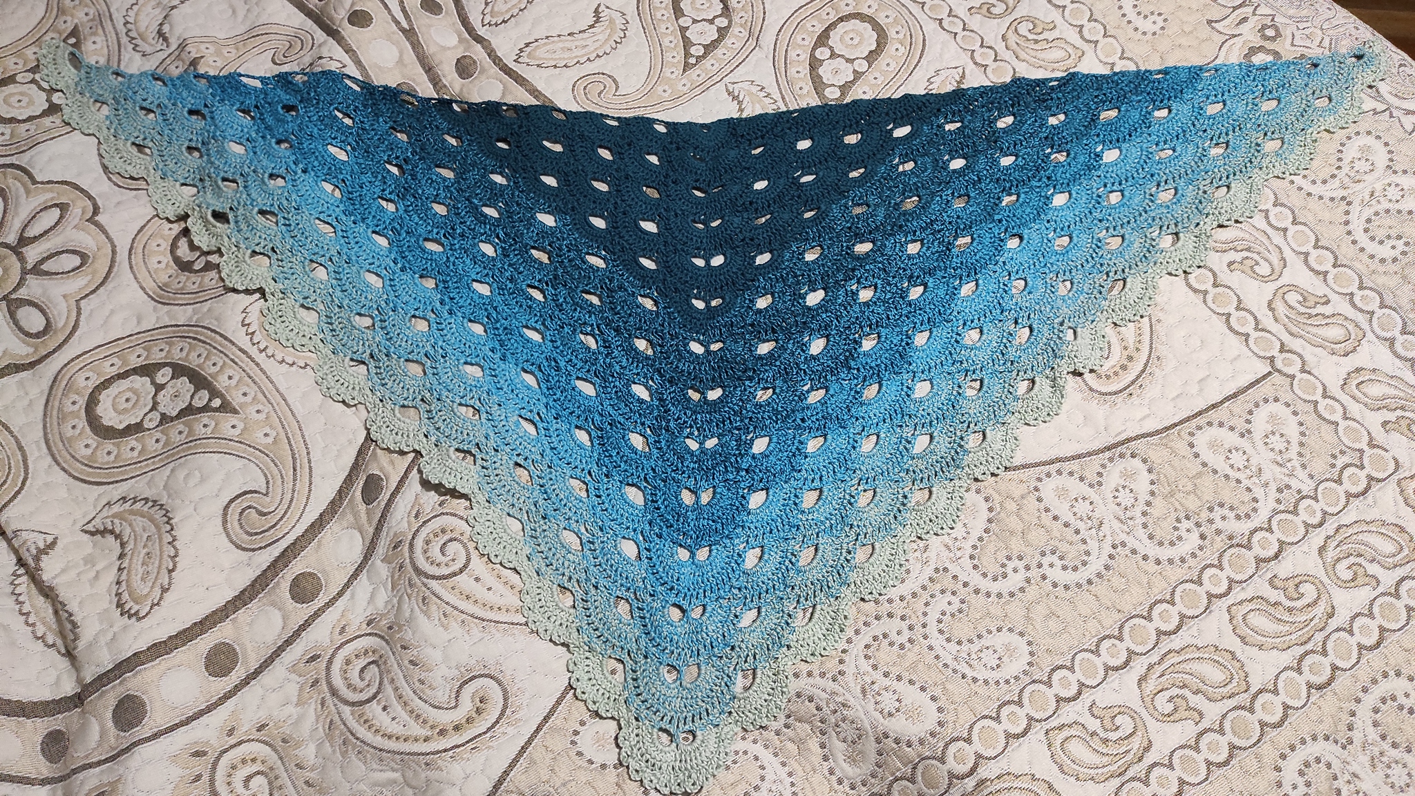 My first crocheted creation - Crochet, Bactus, Shawl, Needlework without process, Longpost, Knitting