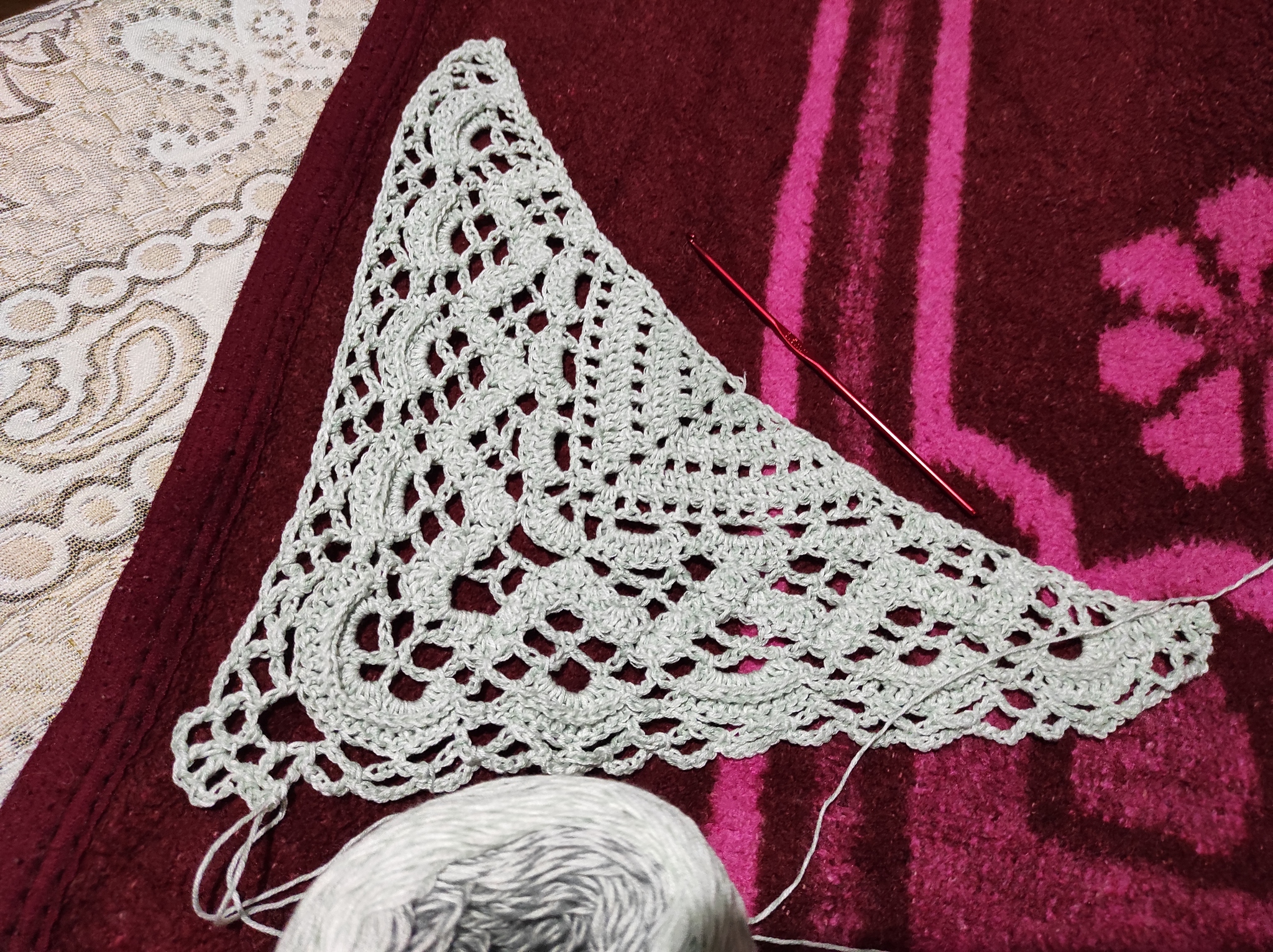 My first crocheted creation - Crochet, Bactus, Shawl, Needlework without process, Longpost, Knitting