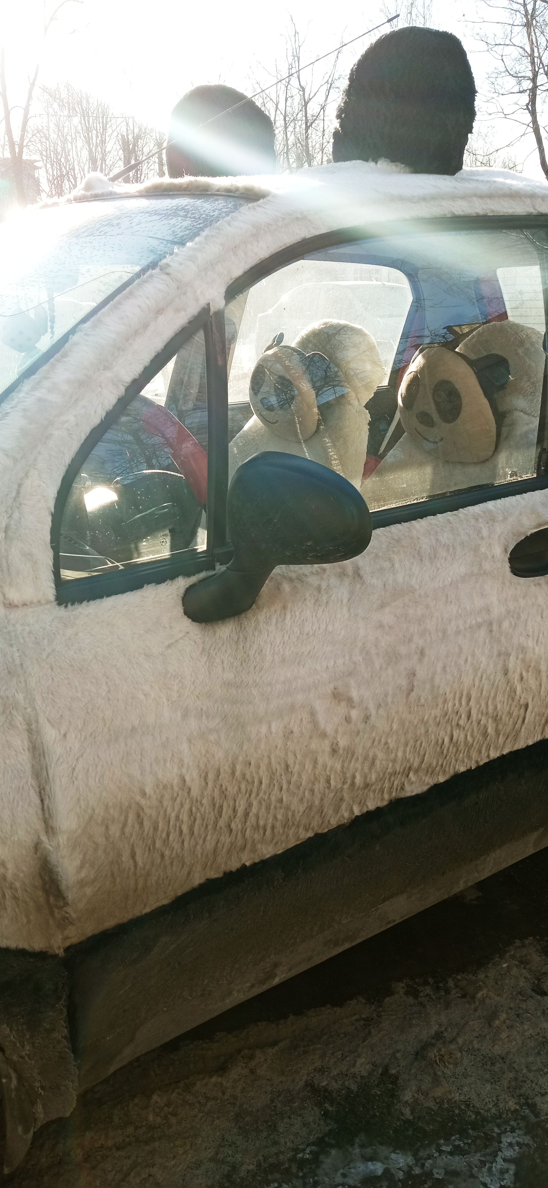 Fluffy surprise - My, Auto, Fur, Saint Petersburg, Car, Tuning, Longpost, Panda, Daewoo matiz