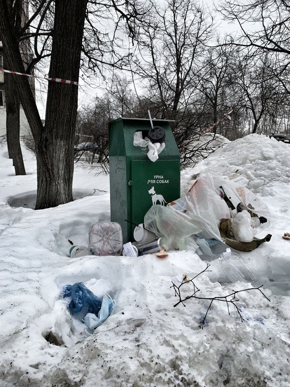 В целом логично. Это были с***
 - Моё, Мусор, Собака