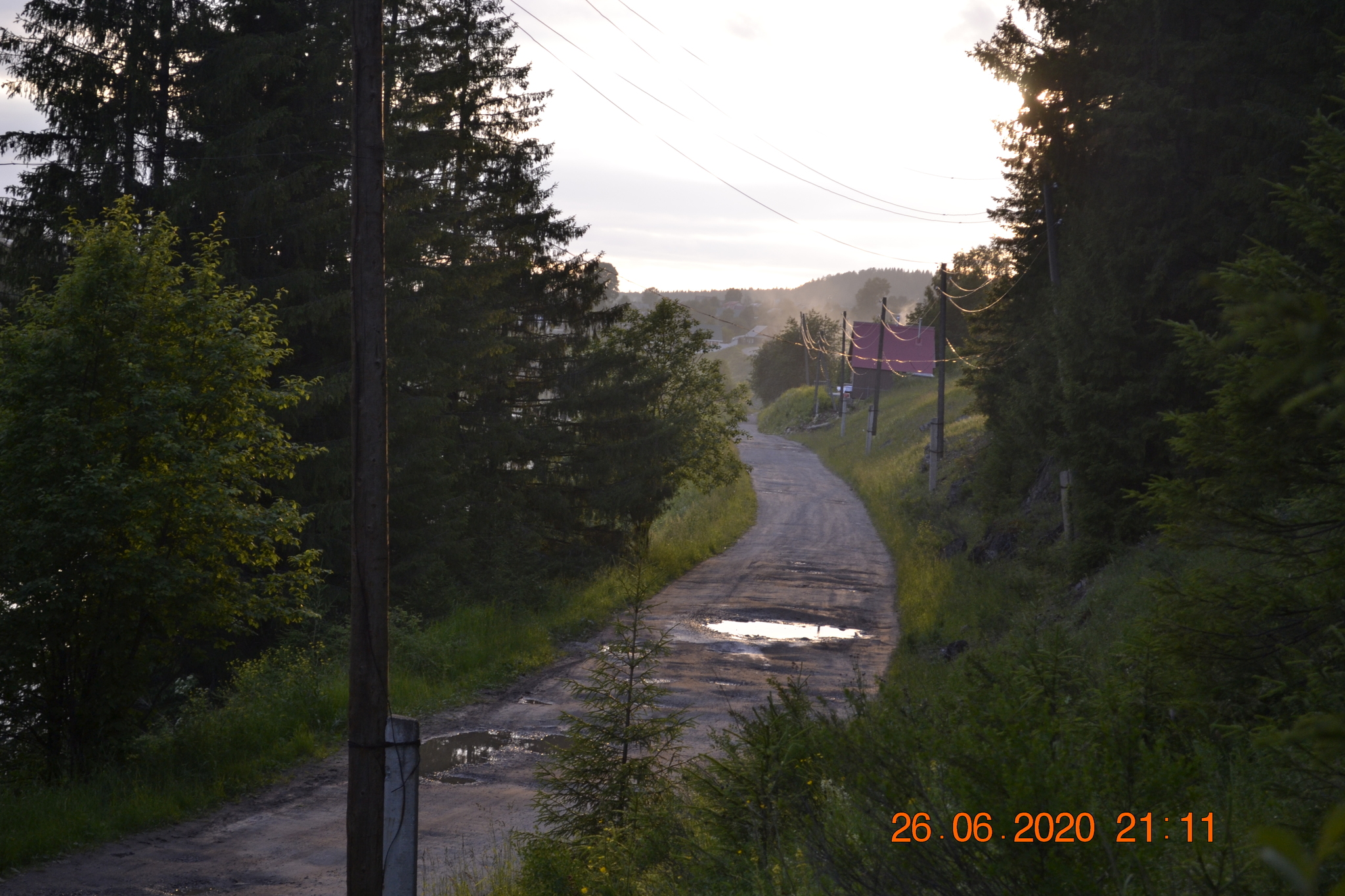 Piece of summer... - My, Summer, Evening, I want summer, Nature