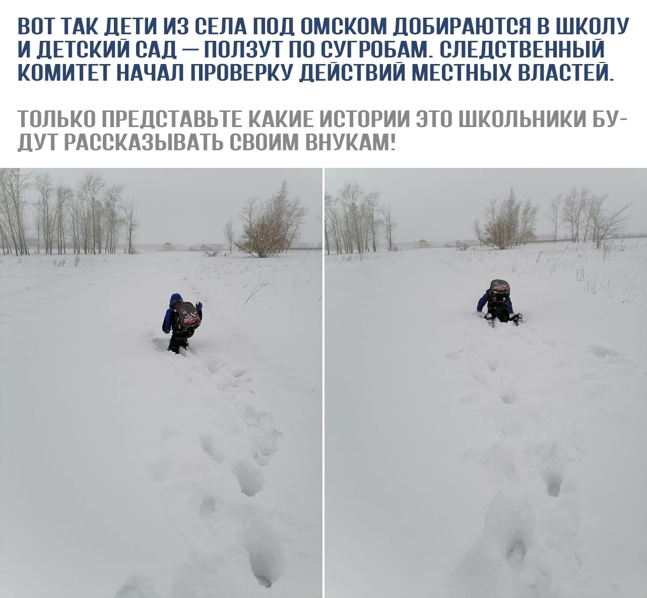 How do they say they got to school? - School, Village, Omsk, Children, Jungle, Snow, Snowdrift, Picture with text