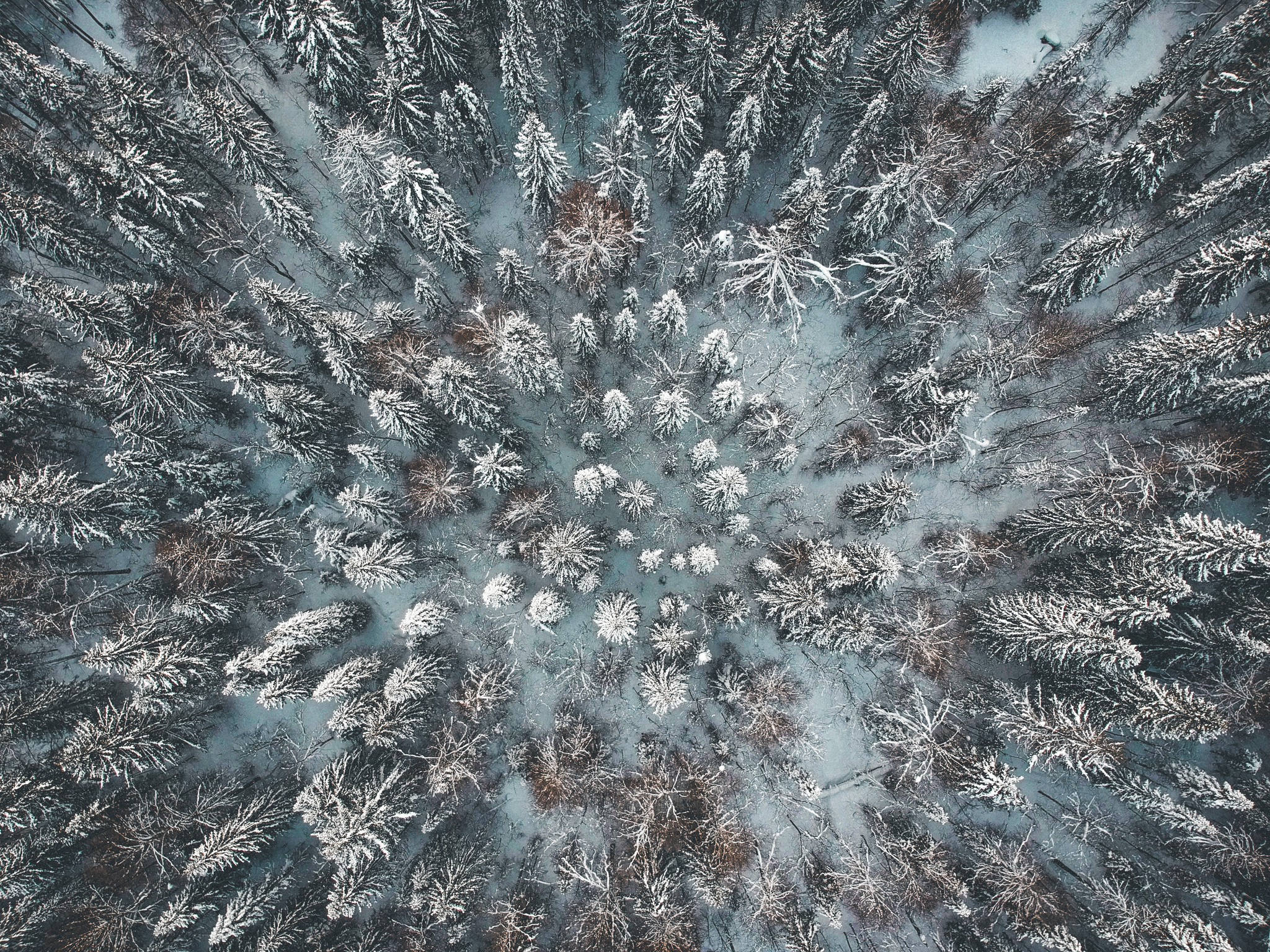 Ural forest - My, DJI Spark, Forest, Winter, Spring, Drone, Snow, Perm Territory