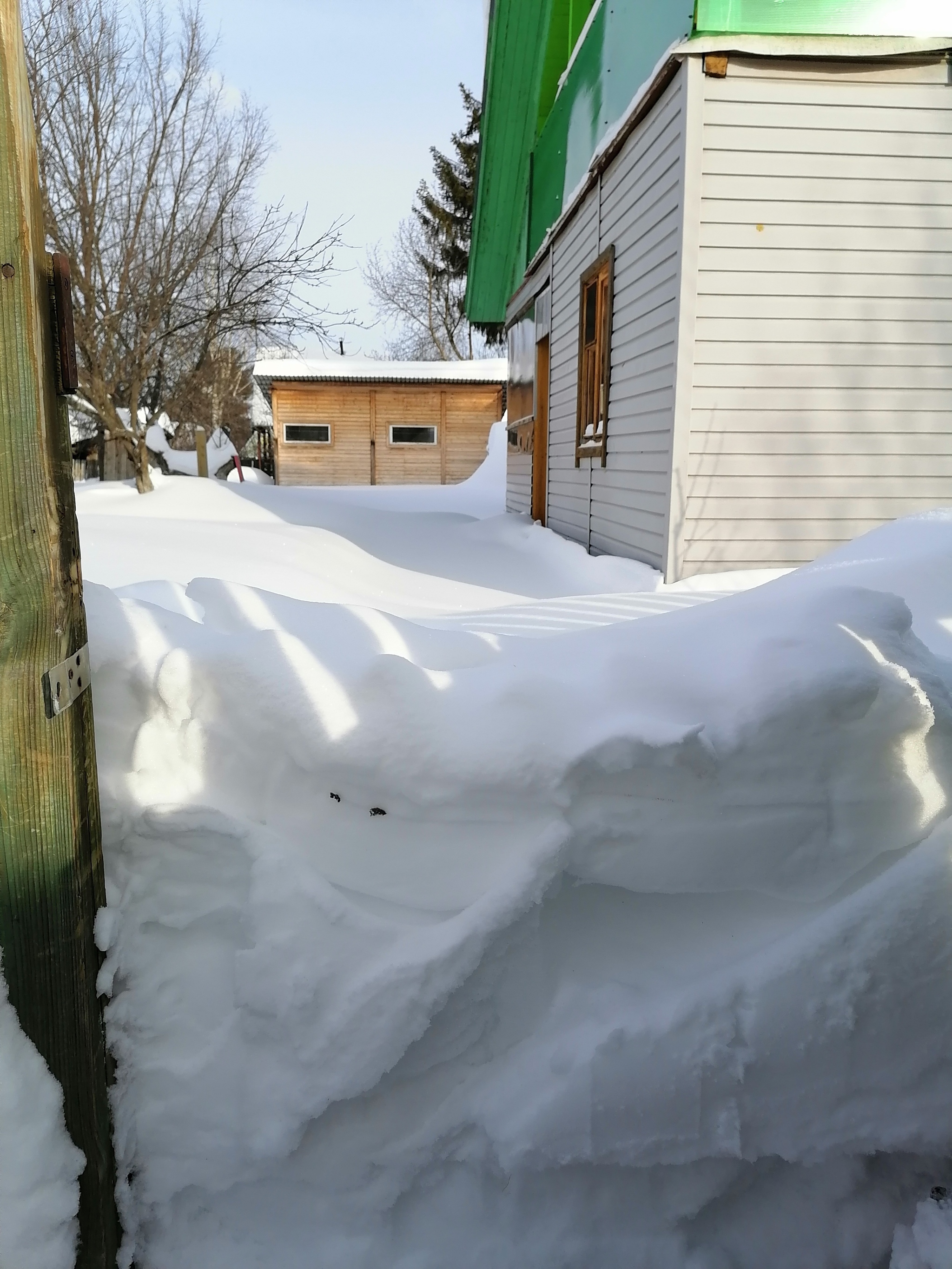 Saint Digging Day - My, Dacha, Winter, Shovel, Longpost