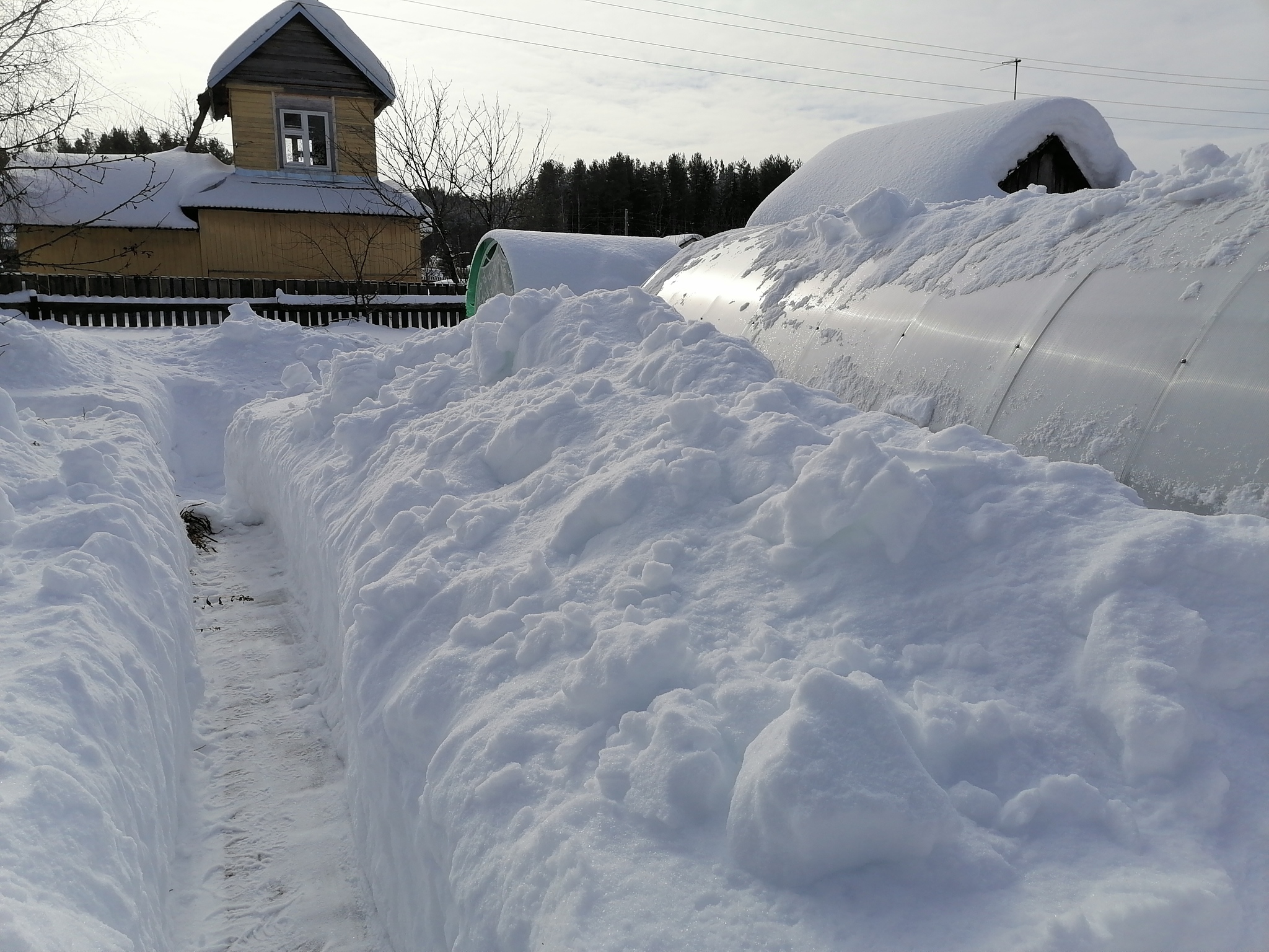 Saint Digging Day - My, Dacha, Winter, Shovel, Longpost