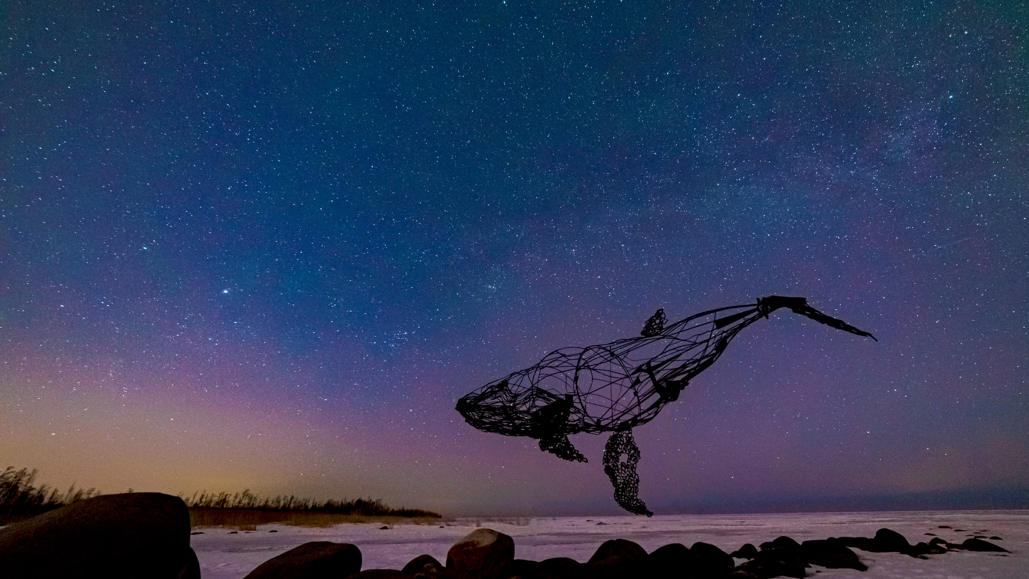 We went to catch the northern lights and caught a whale - My, Astrophoto, Whale, Art object