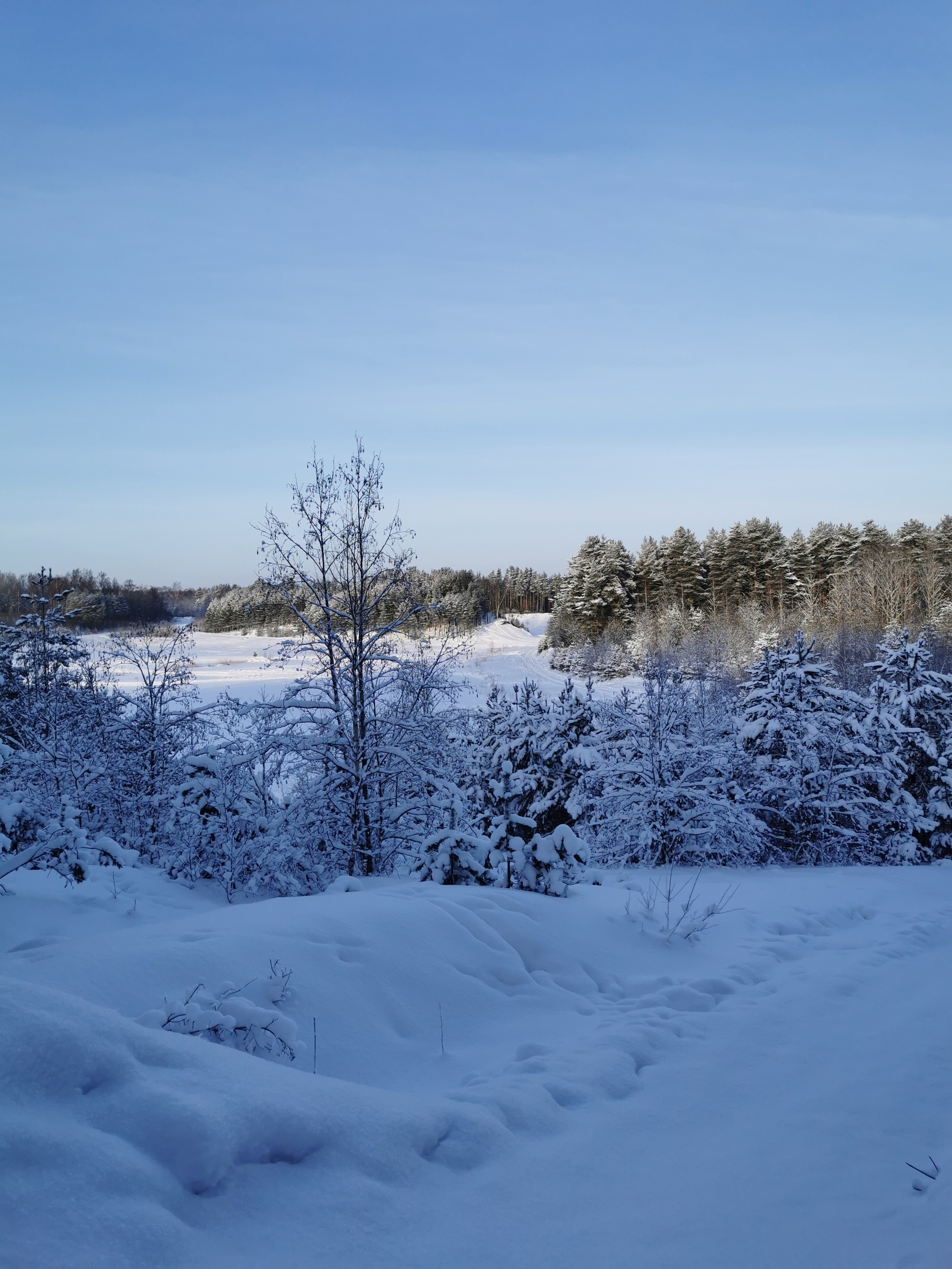 Winter's Tale - My, Longpost, Hike, Forest, Toksovo, Leningrad region, Kavgolovo, Winter, Saint Petersburg