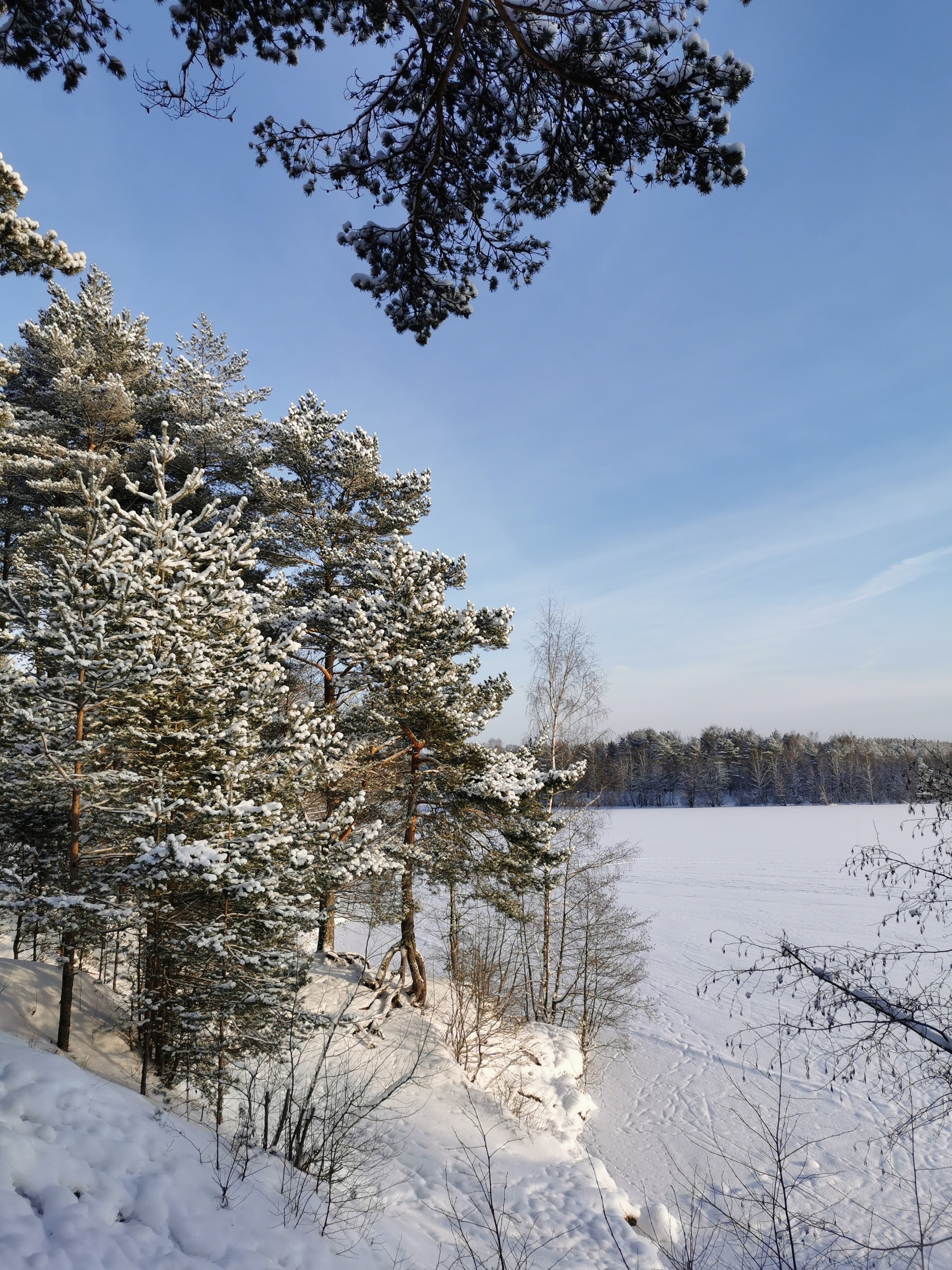 Winter's Tale - My, Longpost, Hike, Forest, Toksovo, Leningrad region, Kavgolovo, Winter, Saint Petersburg