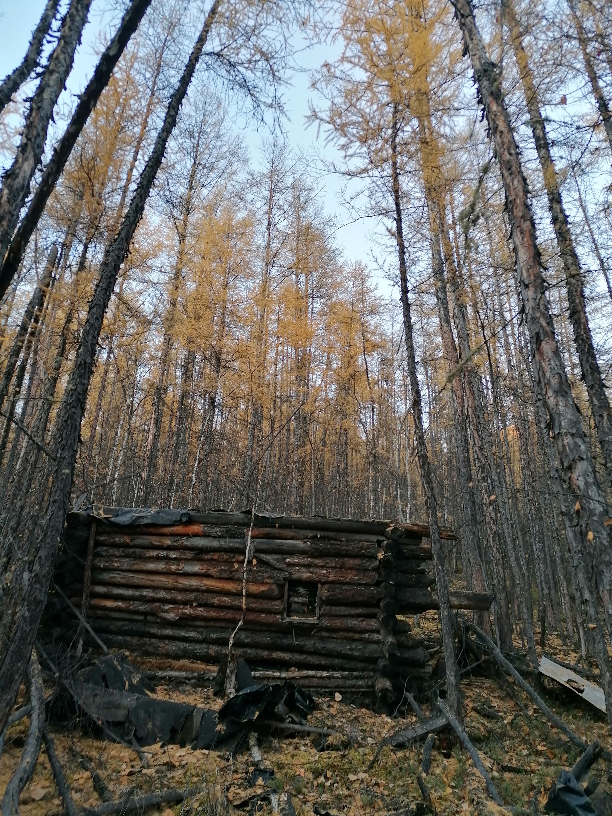 Один и тот же день на разной высоте - Моё, Фотография, Природа, Длиннопост